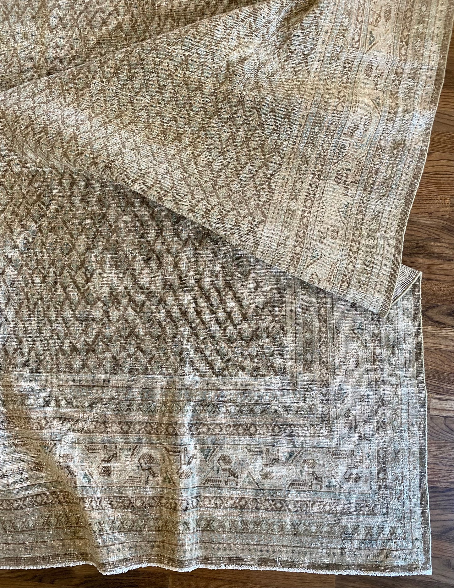 Jade 7’11.5 x 10’6