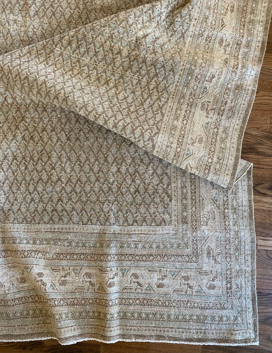 Jade 7’11.5 x 10’6