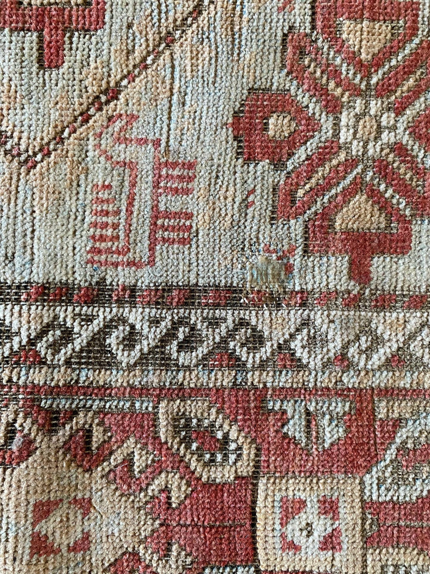 Odette 2’10 x 5’9