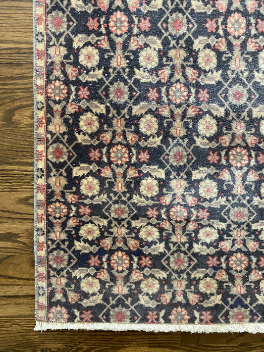 Allie 1’9 x 10’3