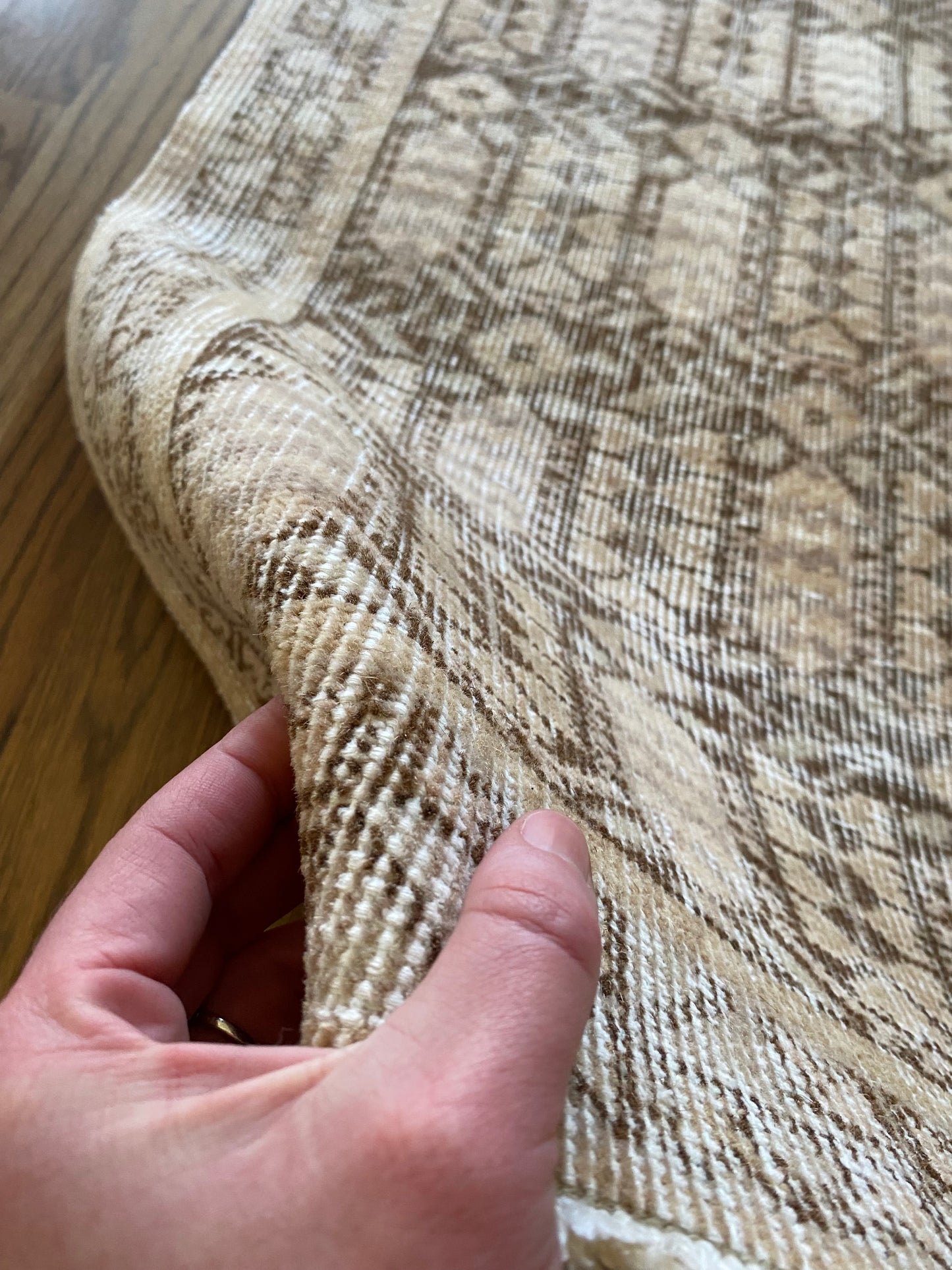 Alessia 1’8 x 4’5.5