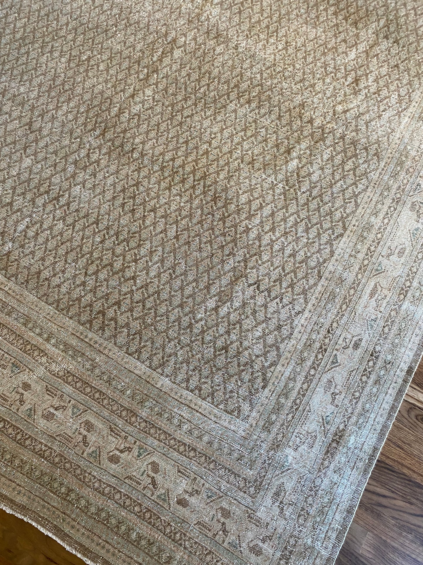 Jade 7’11.5 x 10’6