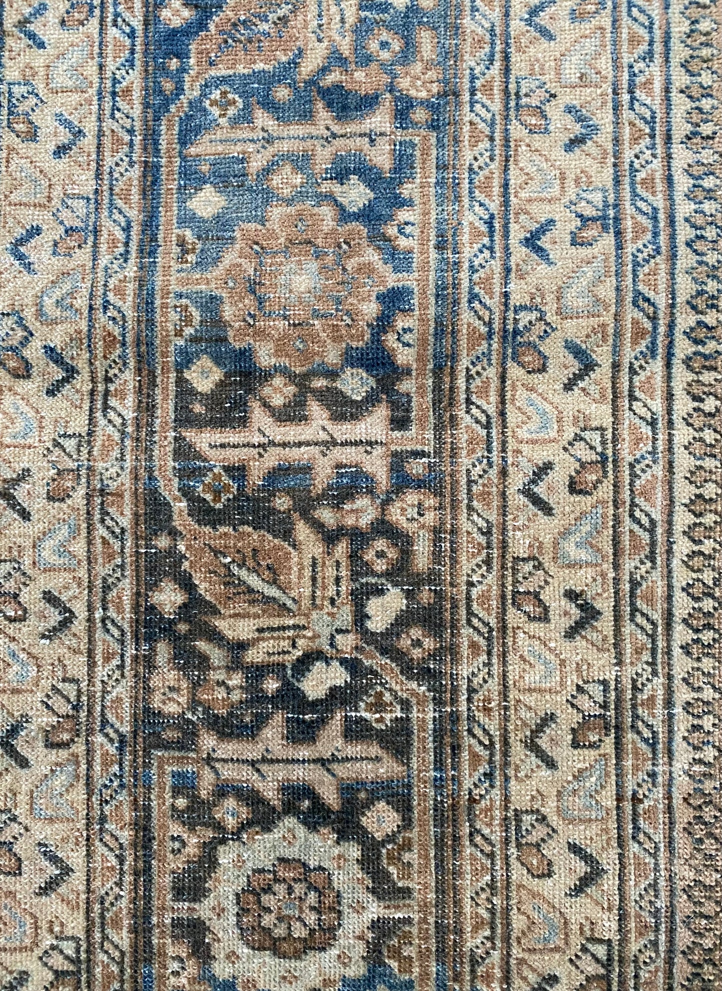 Victoria 7’9.5 x 10’8.5