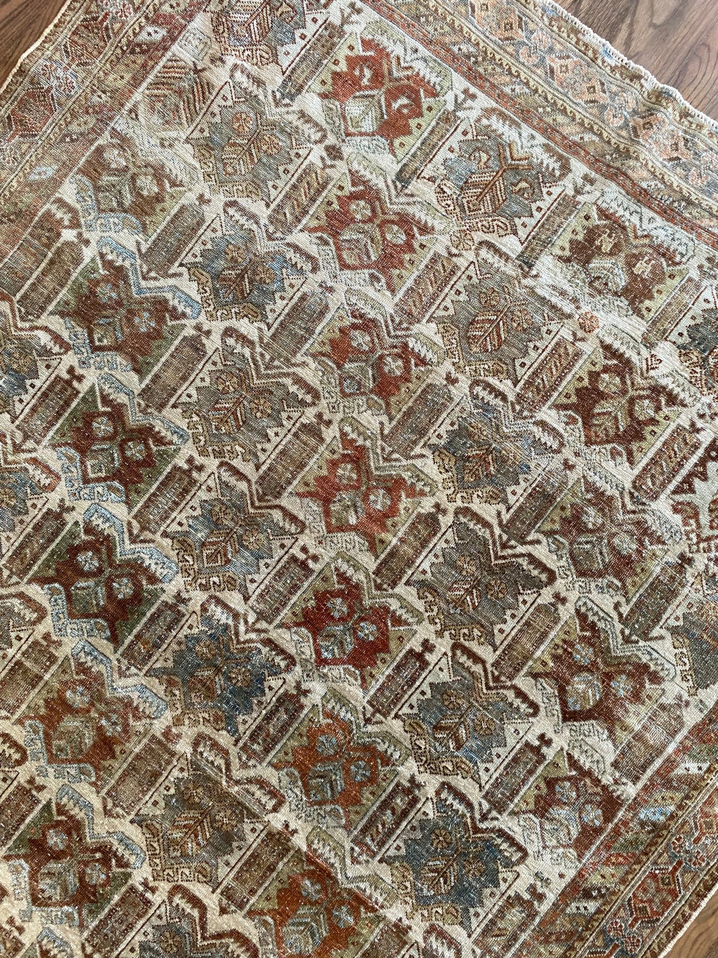 Nikki 4’8.5 x 6’2