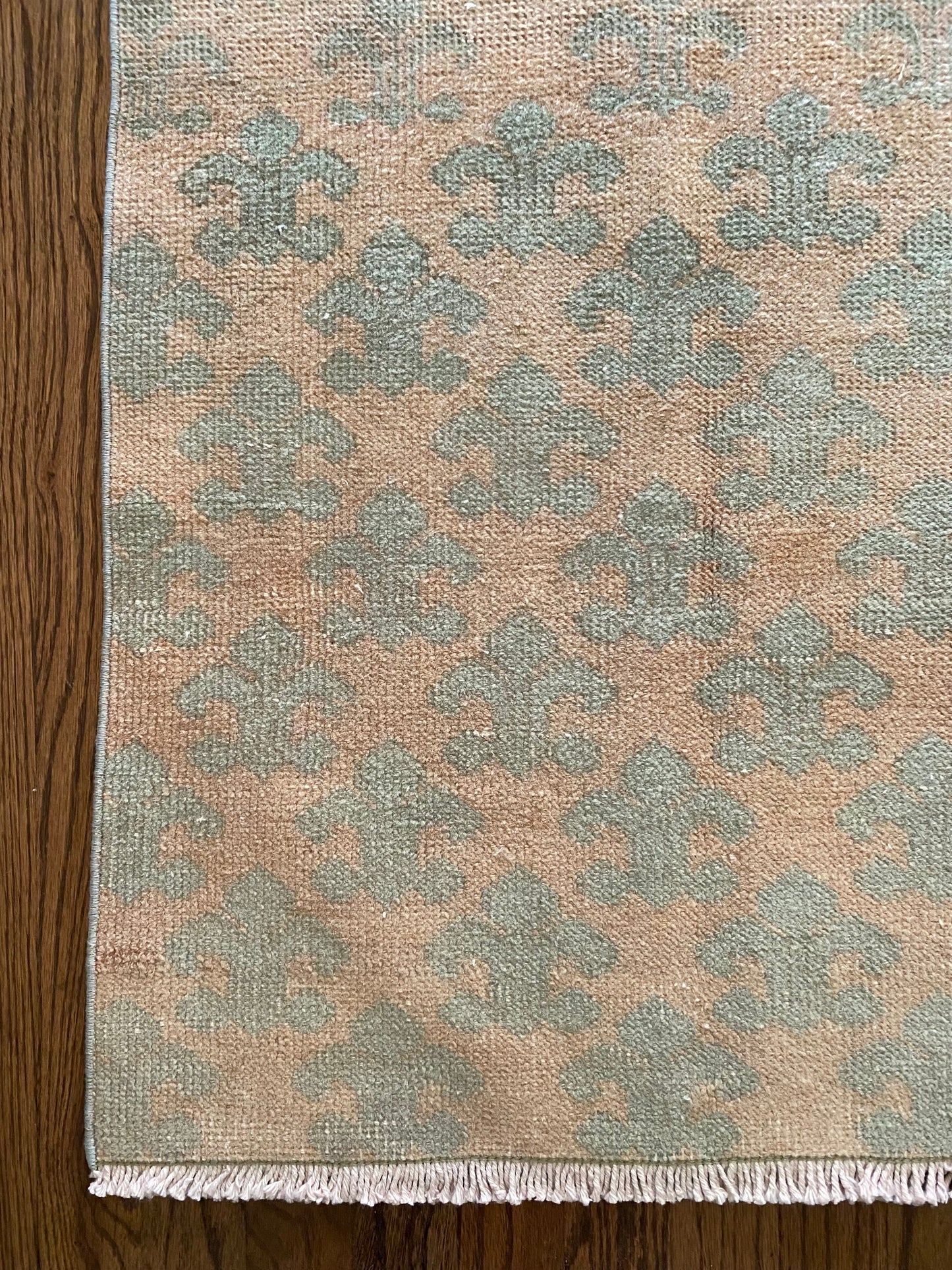 Sofia & Lucia {pair}