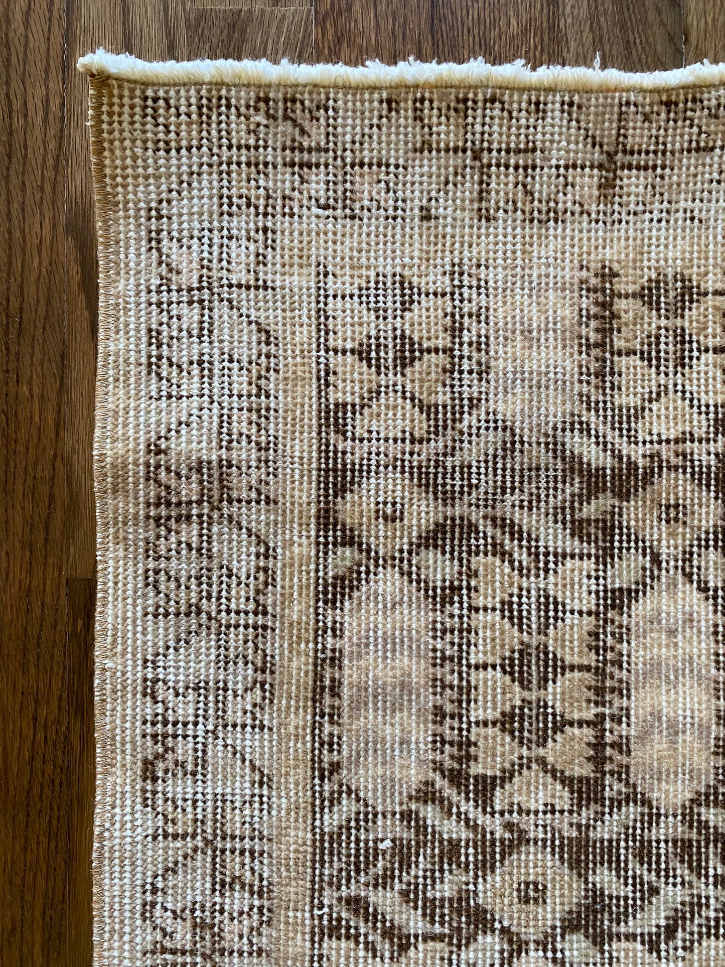 Alessia 1’8 x 4’5.5