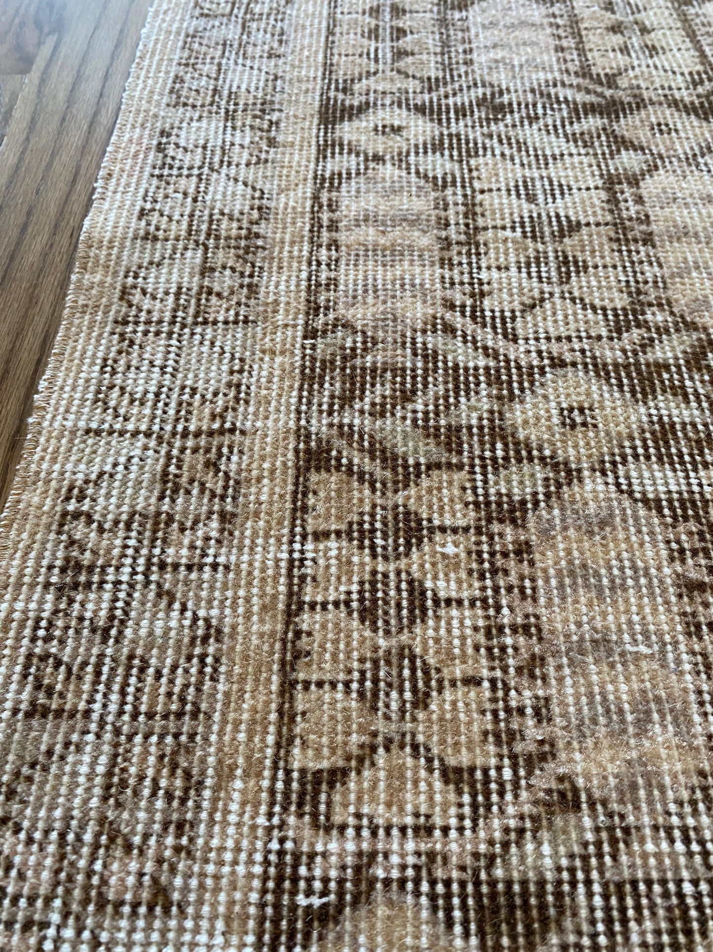 Alessia 1’8 x 4’5.5