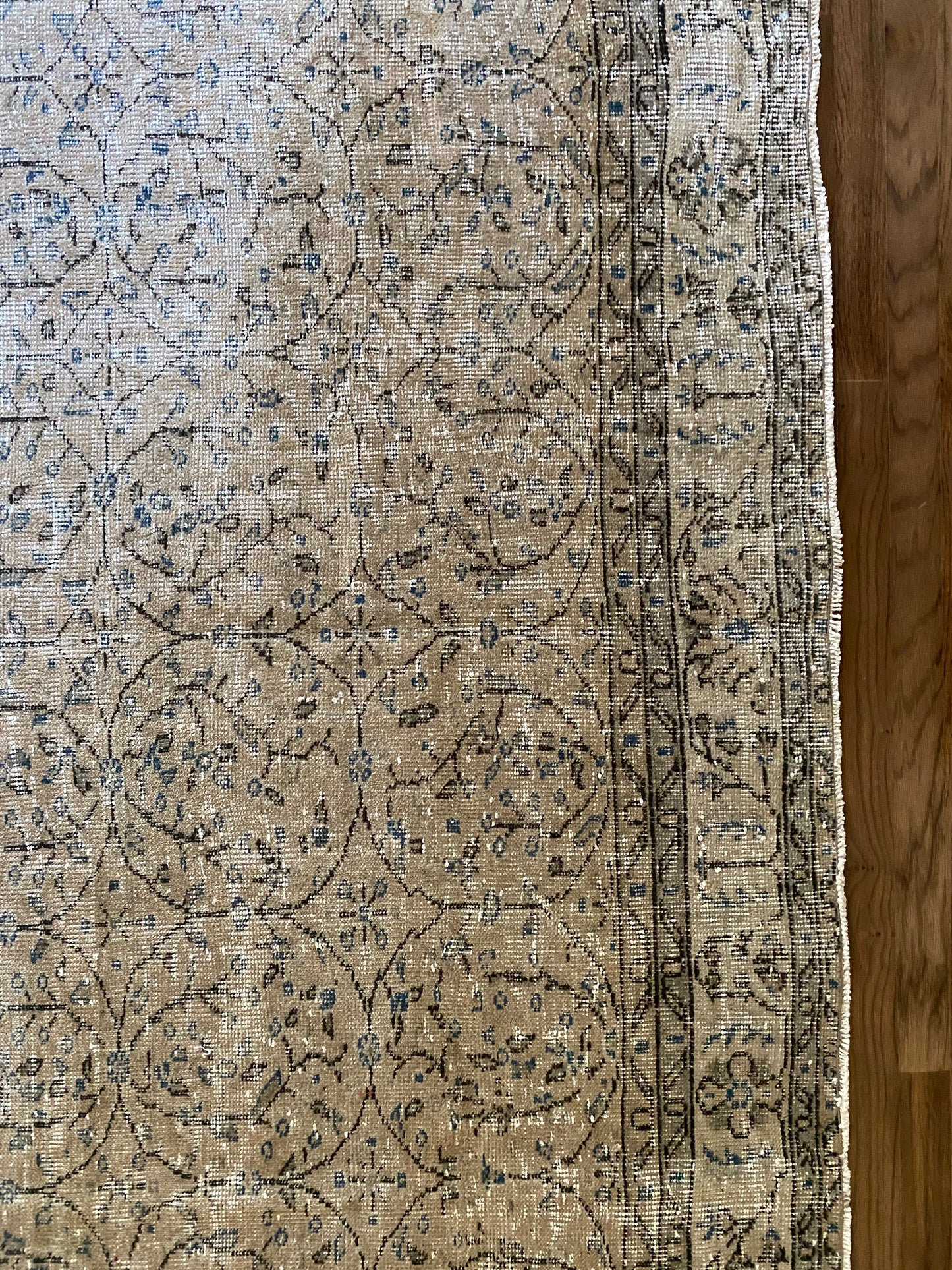 Vintage Turkish Wool Area Rug 7’11’x10’8" – Hand-Knotted Neutral Rug | Collins