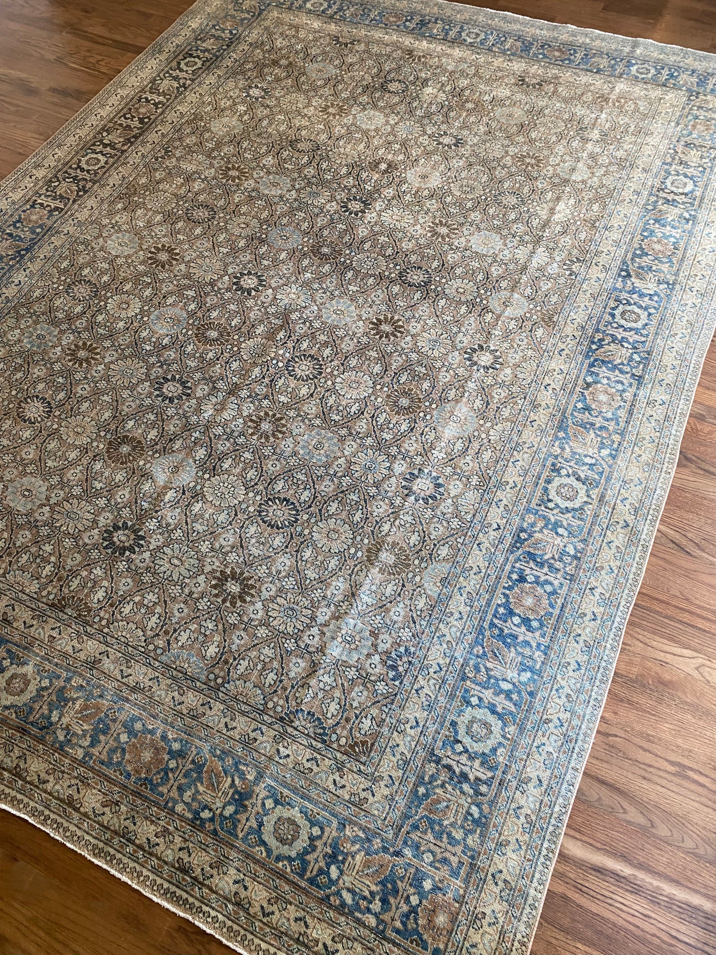 Victoria 7’9.5 x 10’8.5