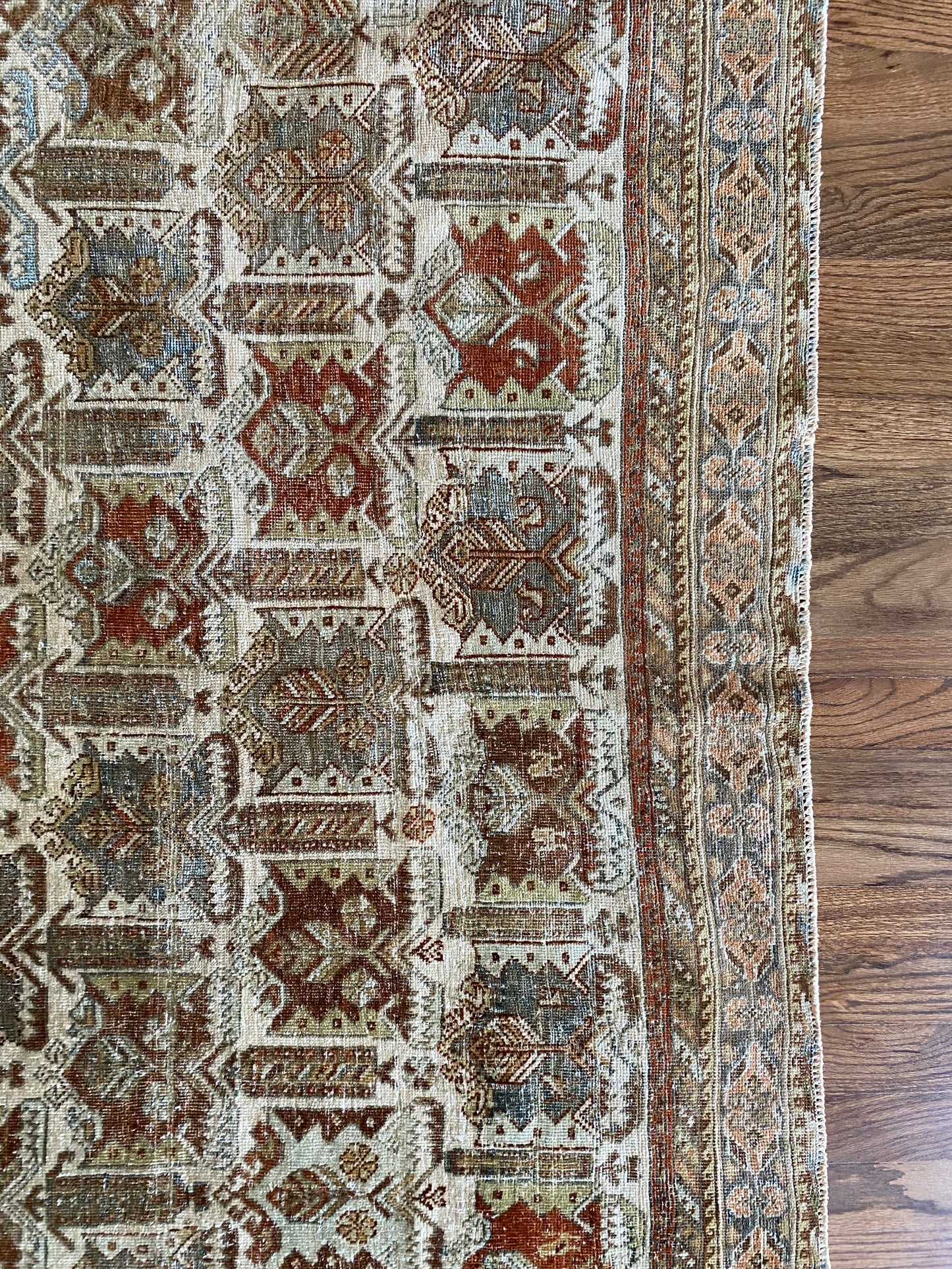 Nikki 4’8.5 x 6’2