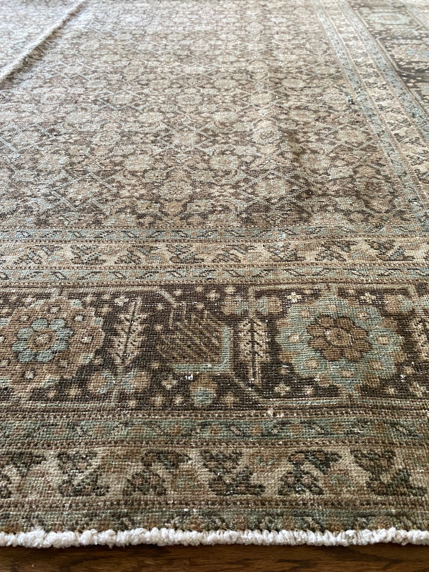 Jacqueline 7’8 x 10’8