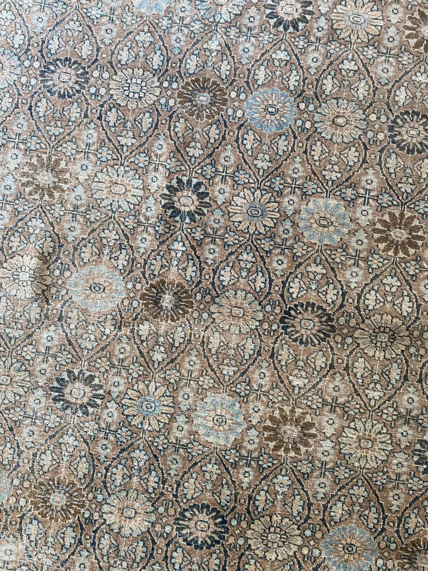 Victoria 7’9.5 x 10’8.5