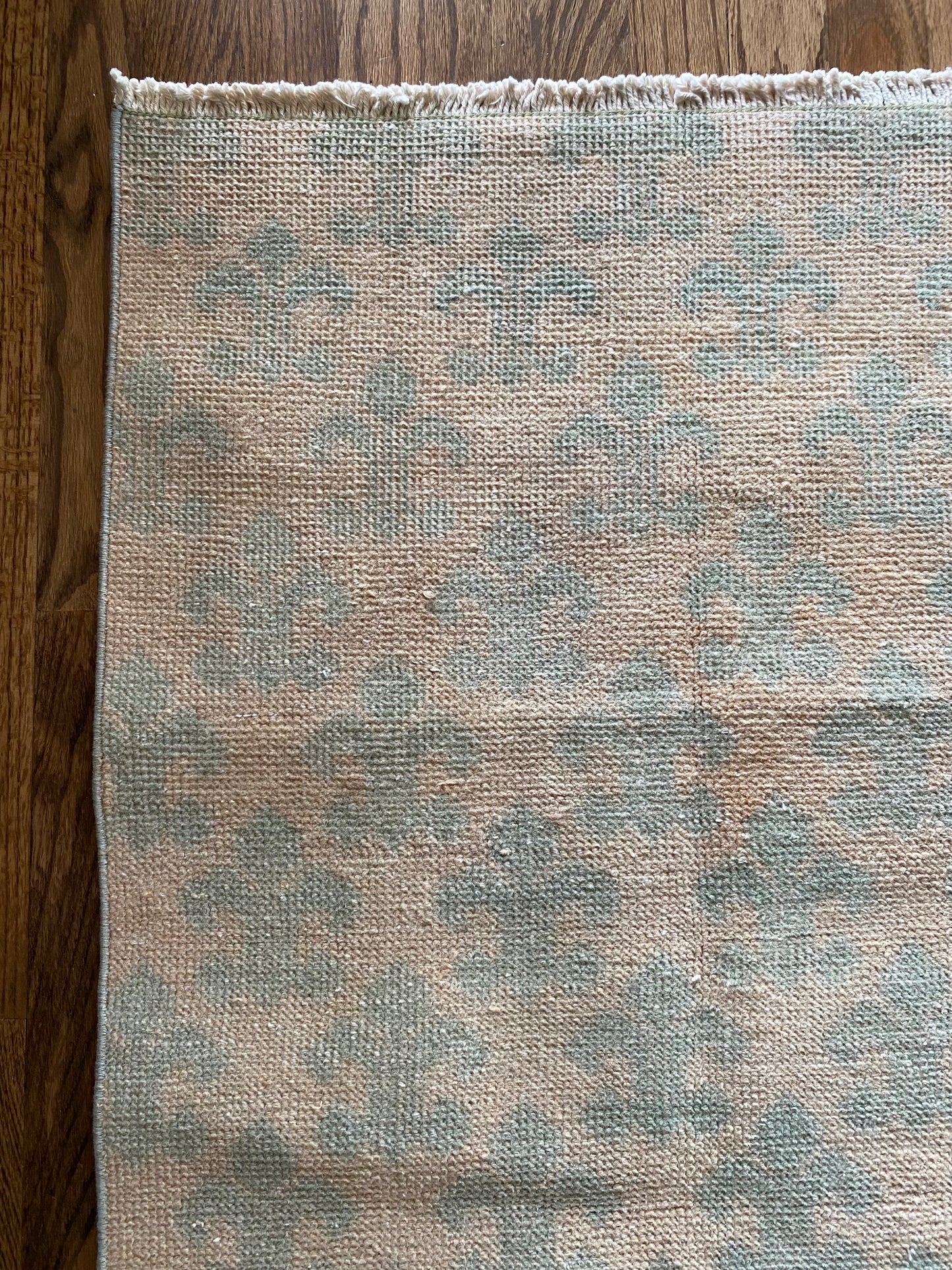 Sofia & Lucia {pair}