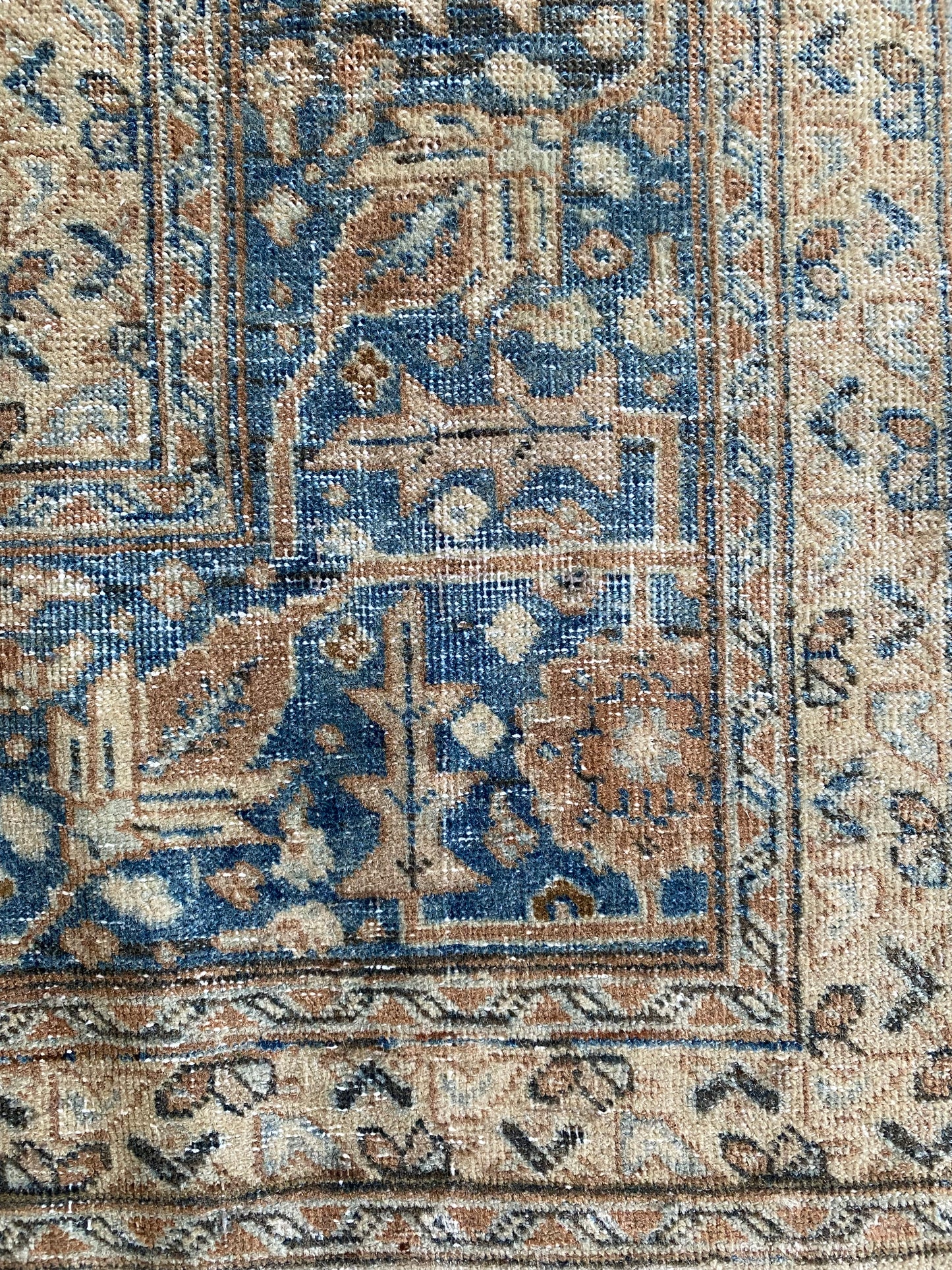 Victoria 7’9.5 x 10’8.5