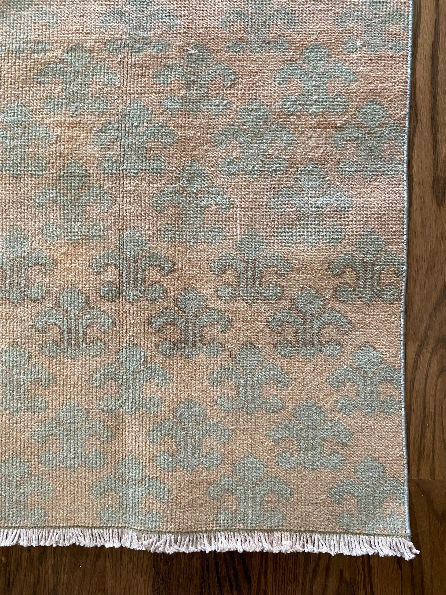 Sofia & Lucia {pair}