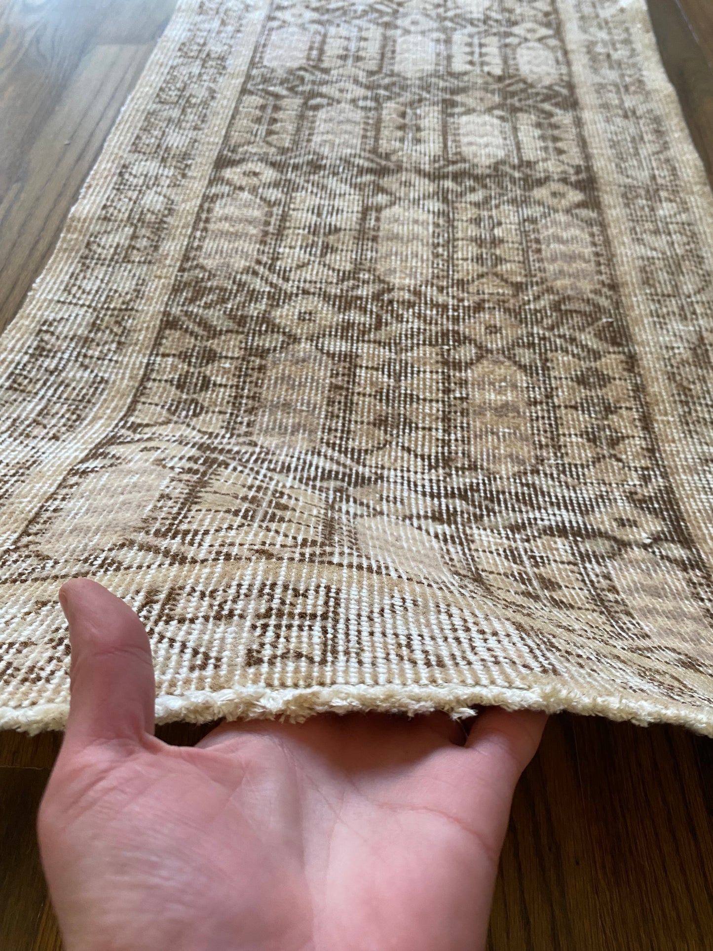 Alessia 1’8 x 4’5.5