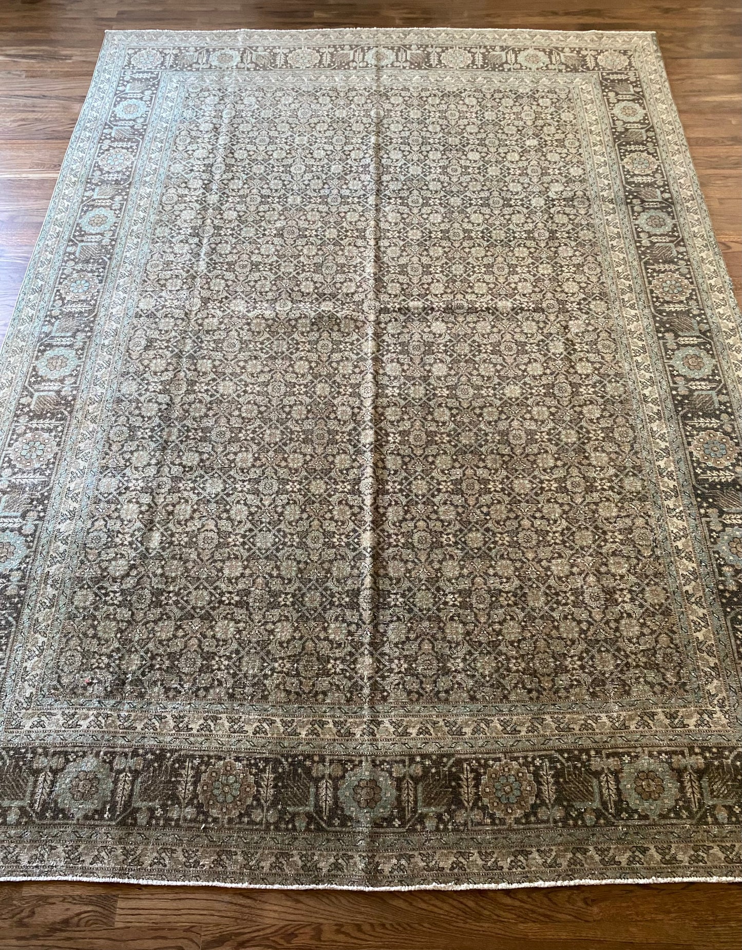 Jacqueline 7’8 x 10’8