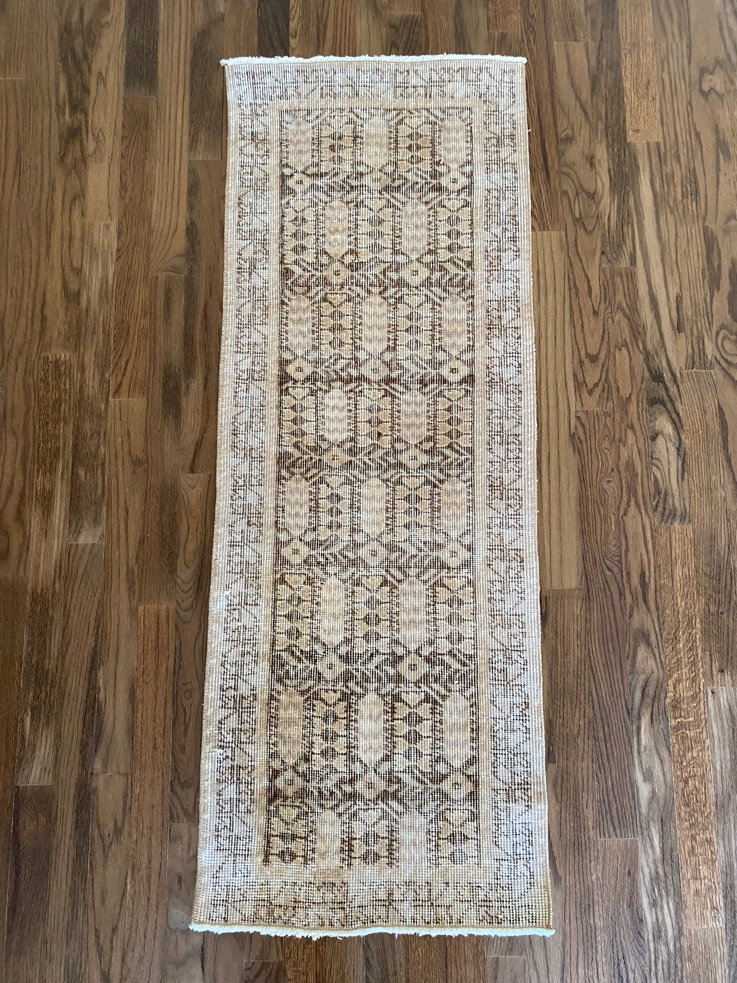 Alessia 1’8 x 4’5.5