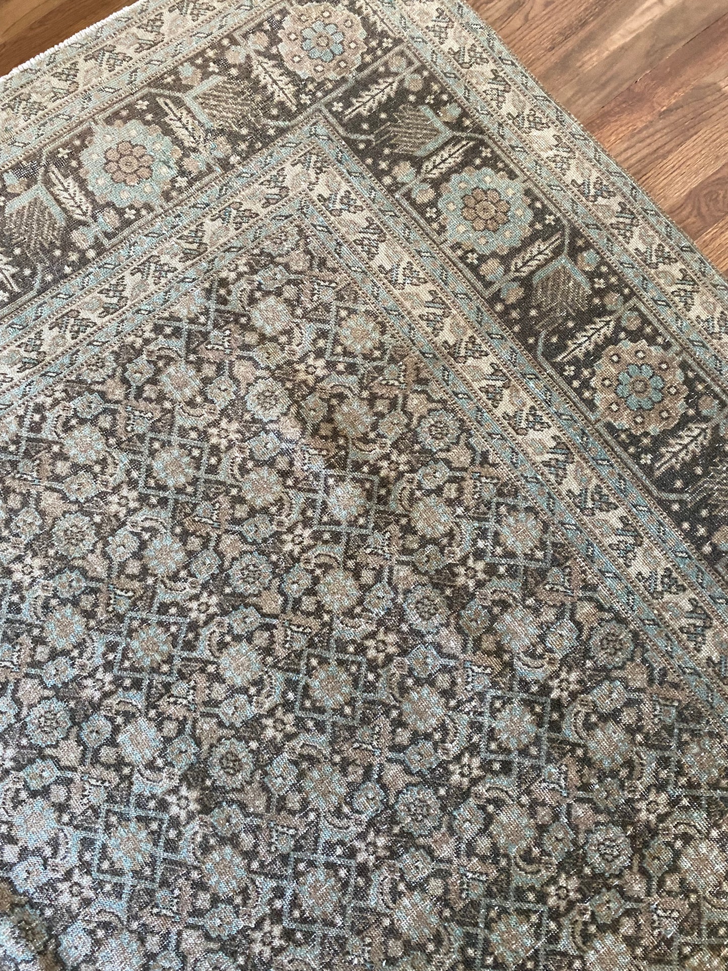 Jacqueline 7’8 x 10’8