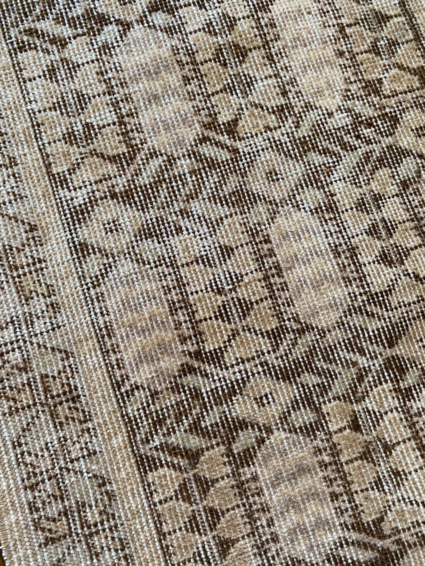 Alessia 1’8 x 4’5.5