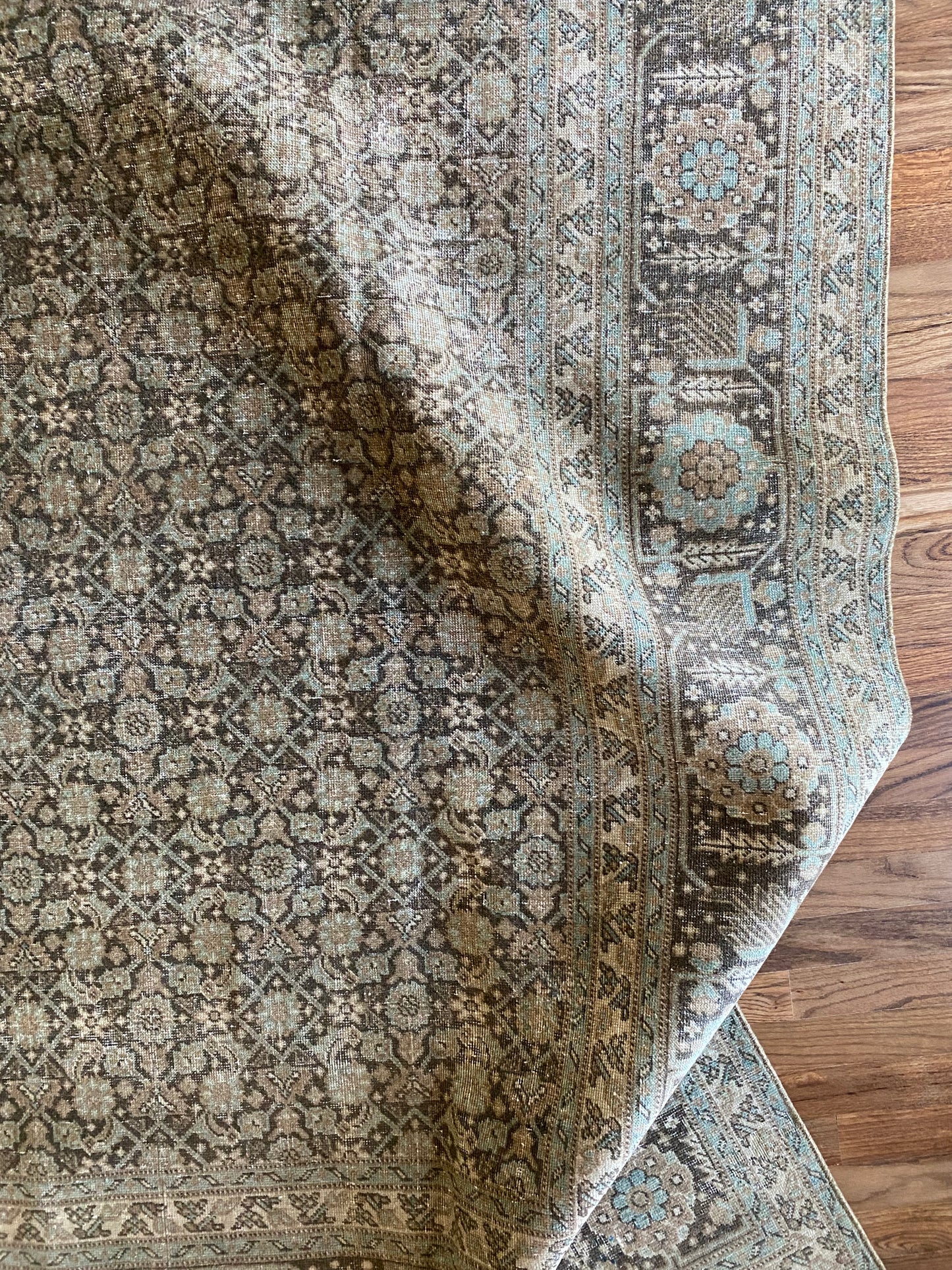 Jacqueline 7’8 x 10’8