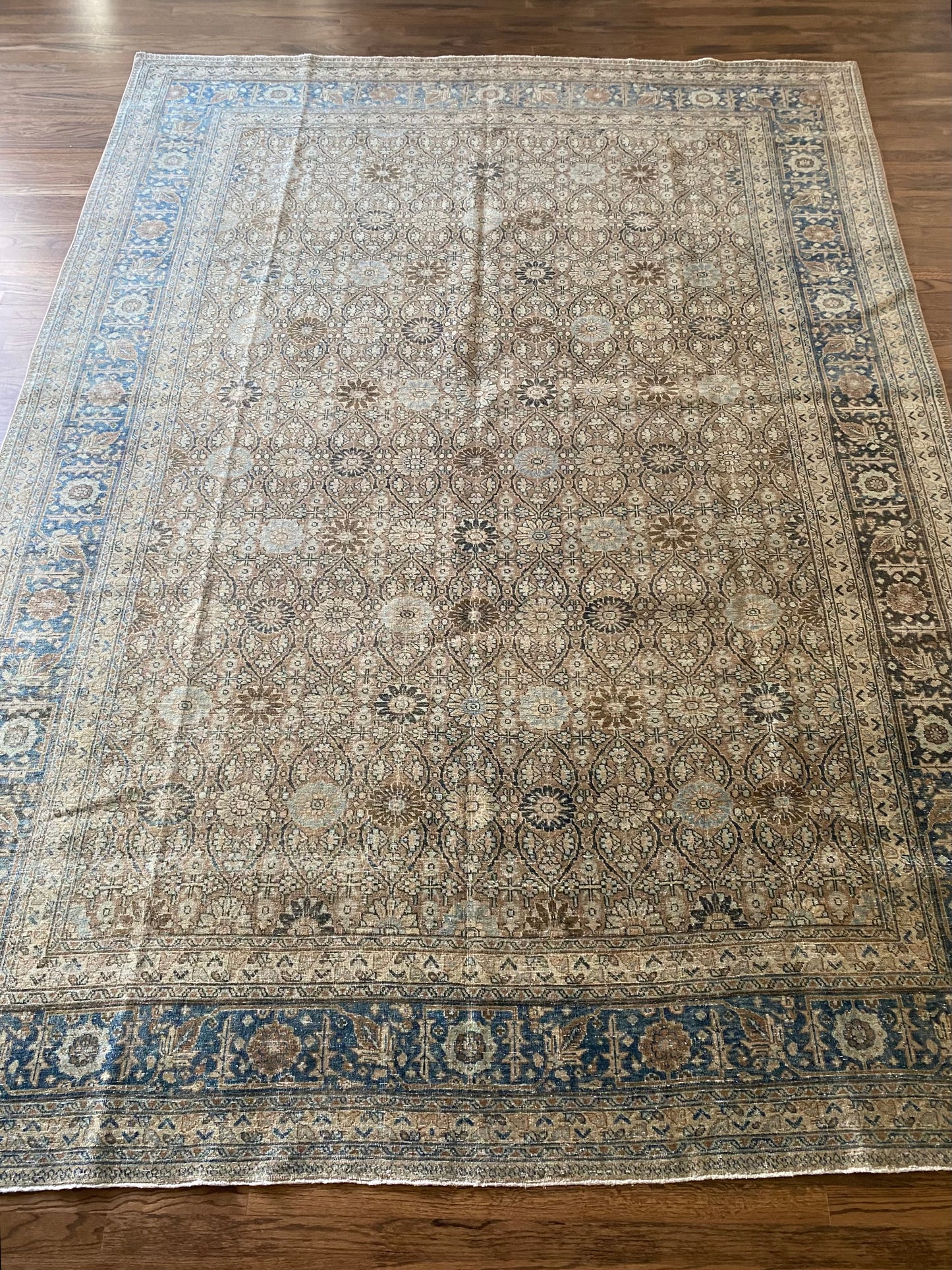 Victoria 7’9.5 x 10’8.5