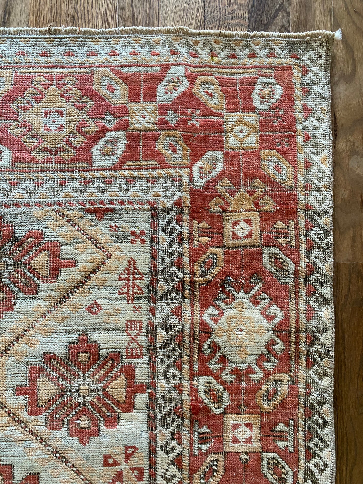 Odette 2’10 x 5’9