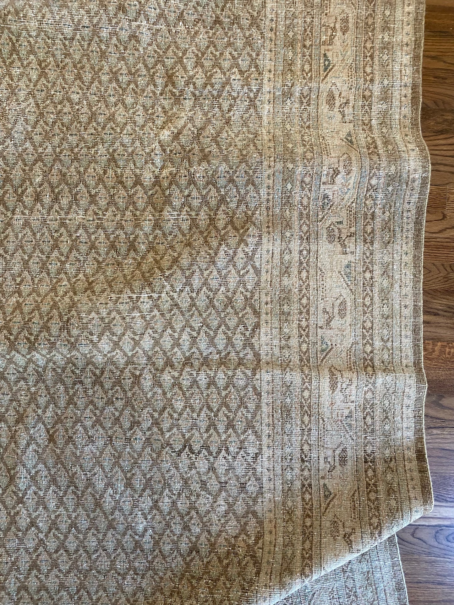 Jade 7’11.5 x 10’6