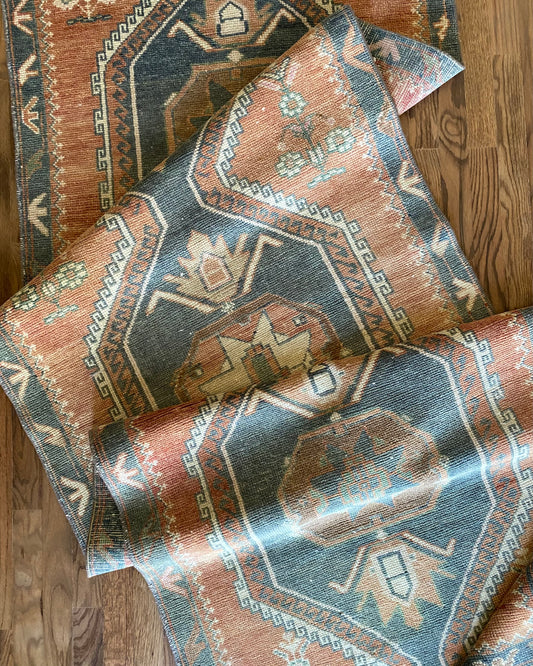 Genevieve 3’1 x 11’0.5