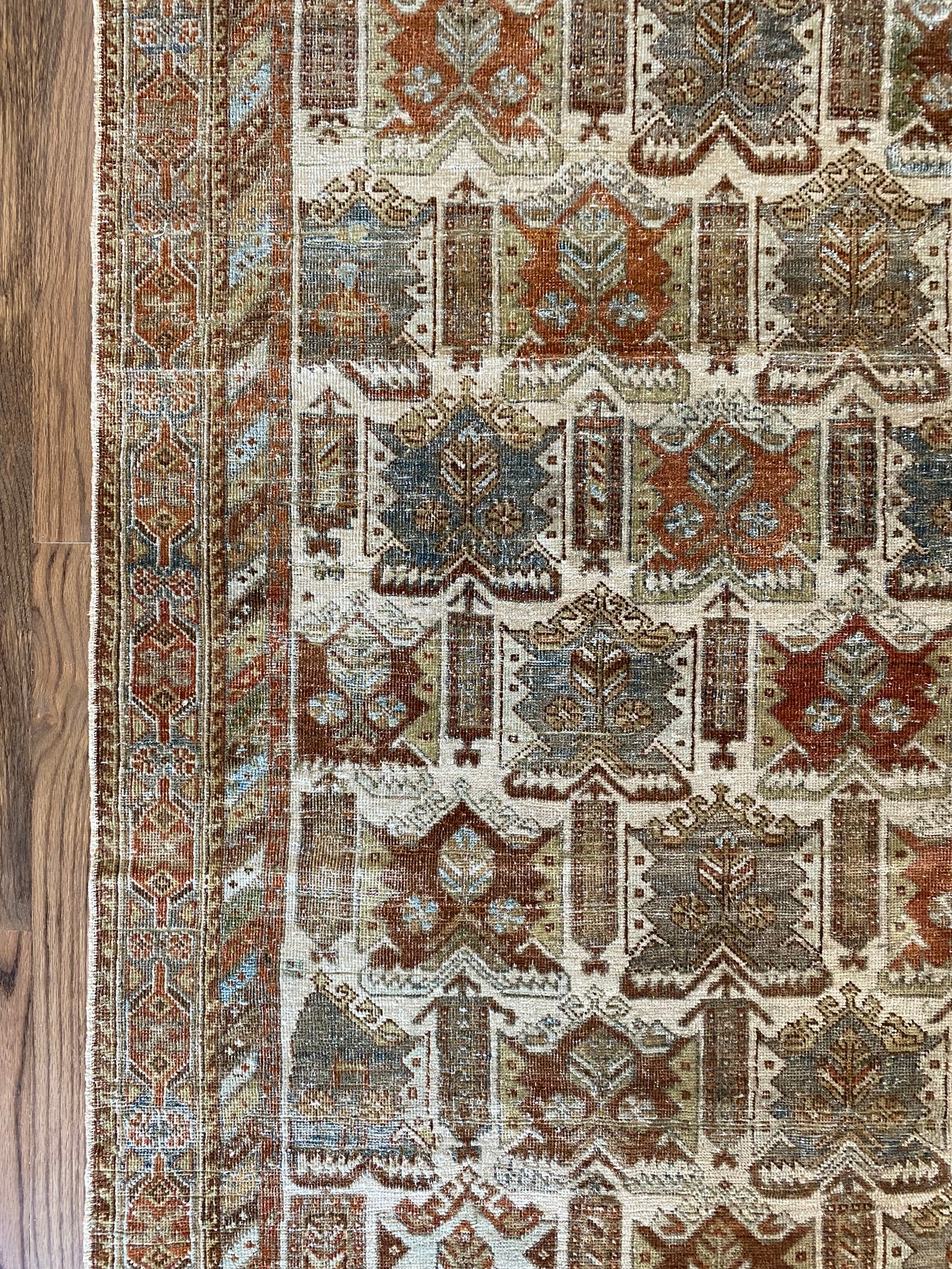 Nikki 4’8.5 x 6’2