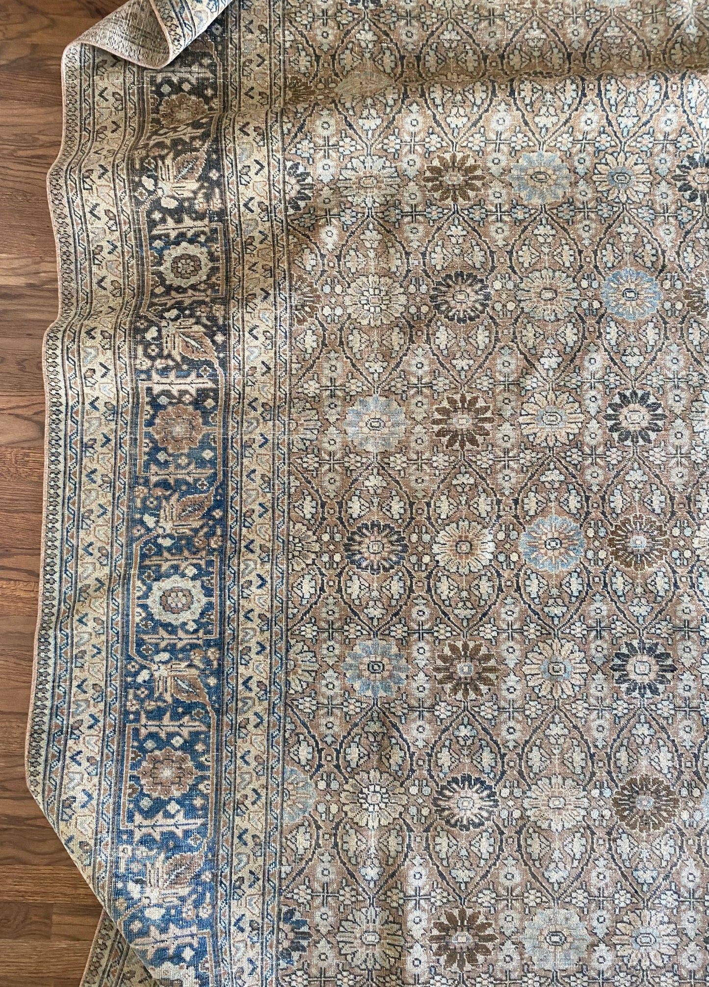 Victoria 7’9.5 x 10’8.5