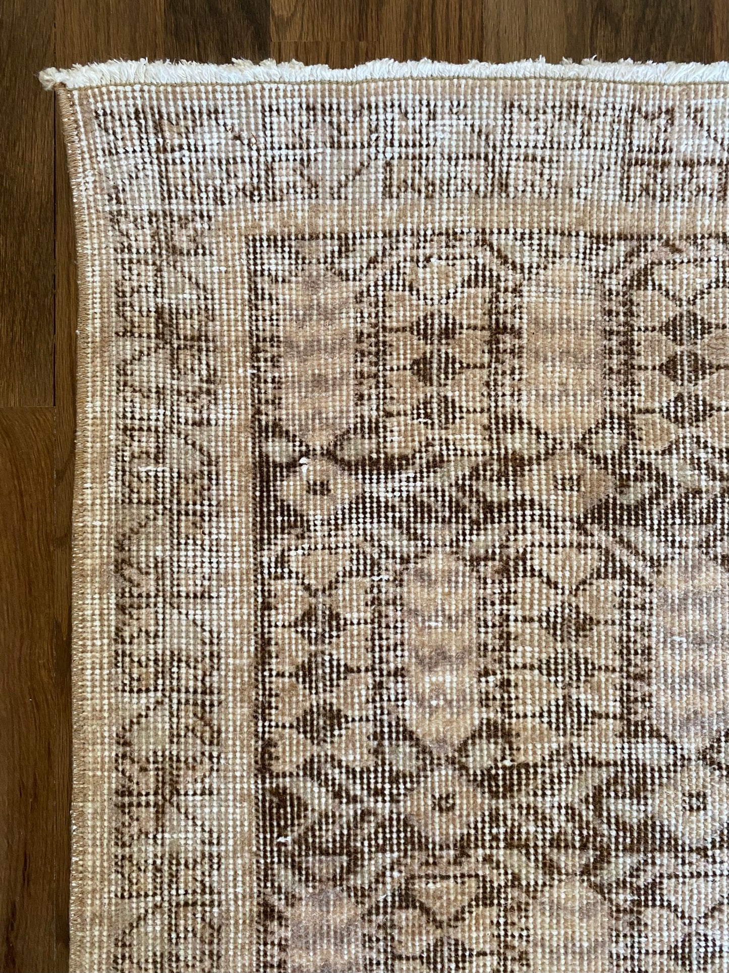 Alessia 1’8 x 4’5.5