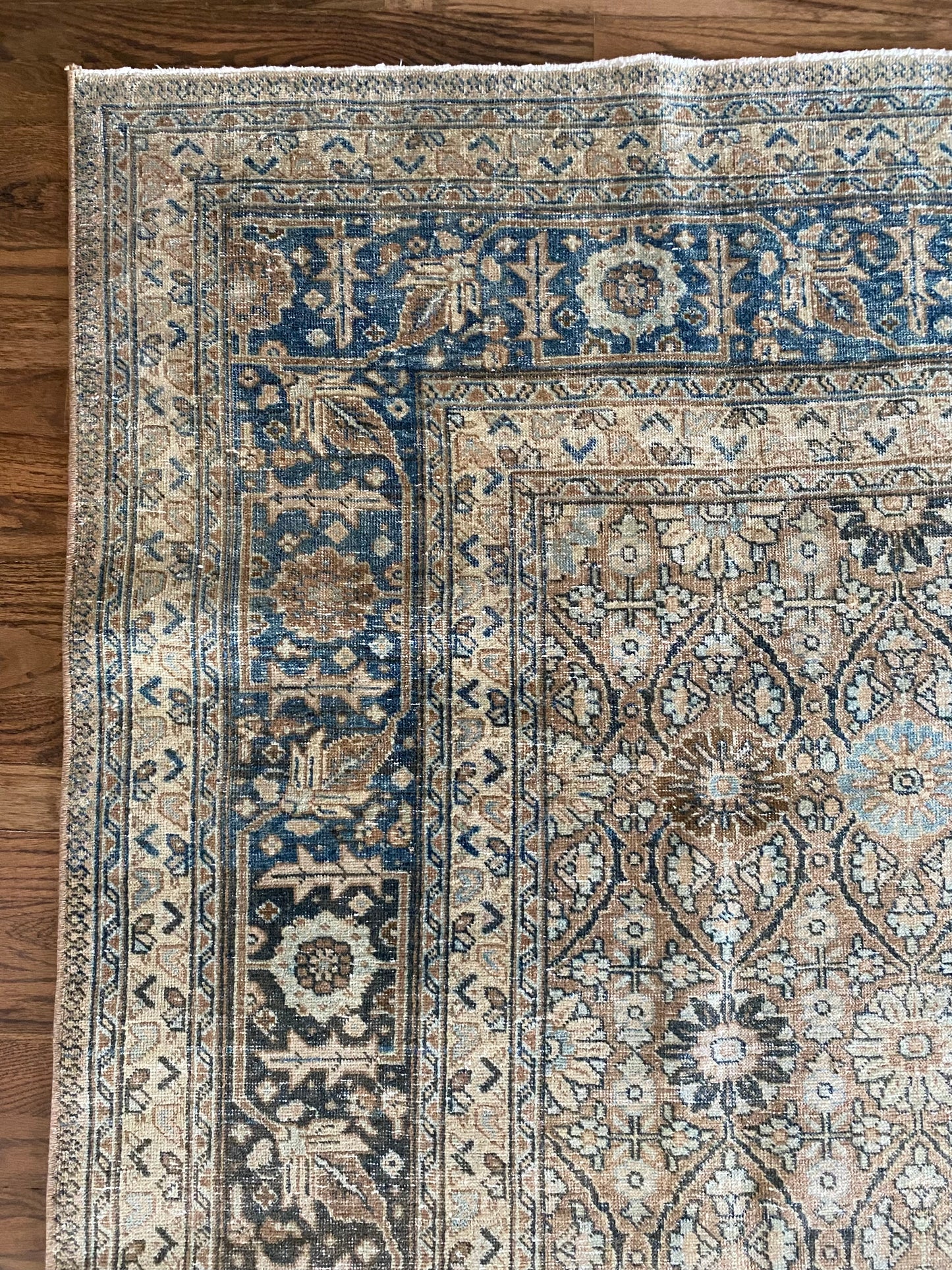 Victoria 7’9.5 x 10’8.5