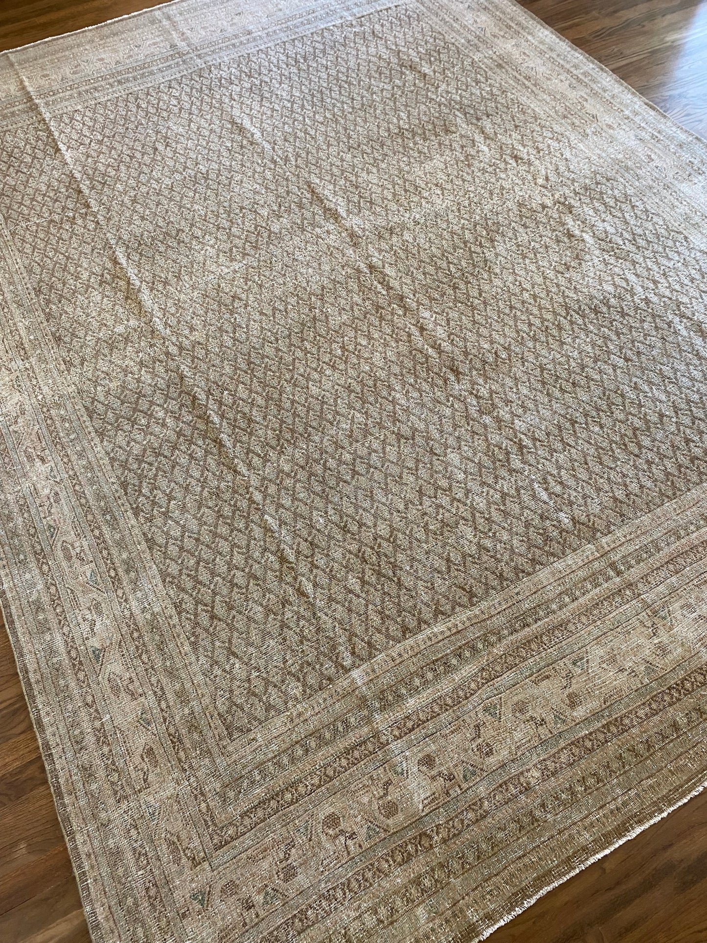 Jade 7’11.5 x 10’6