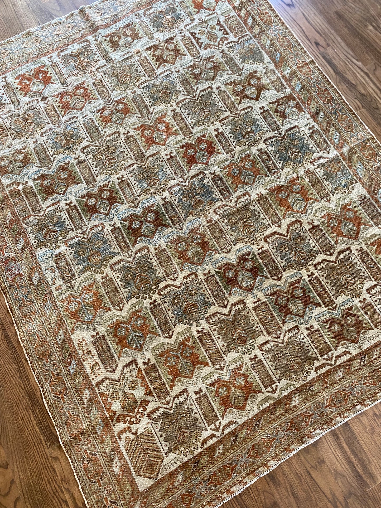 Nikki 4’8.5 x 6’2