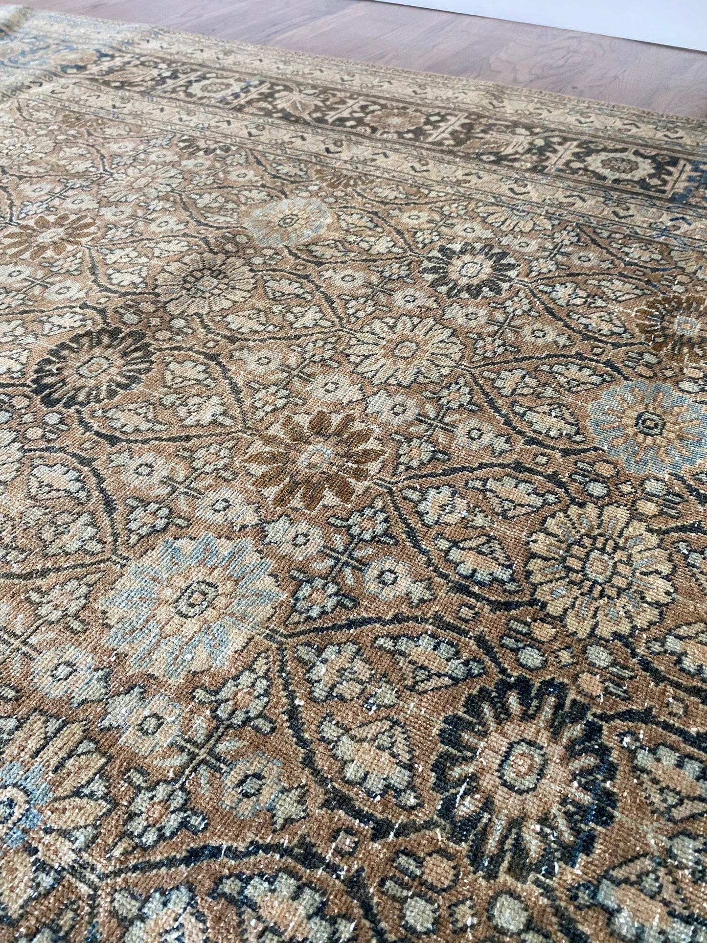 Victoria 7’9.5 x 10’8.5