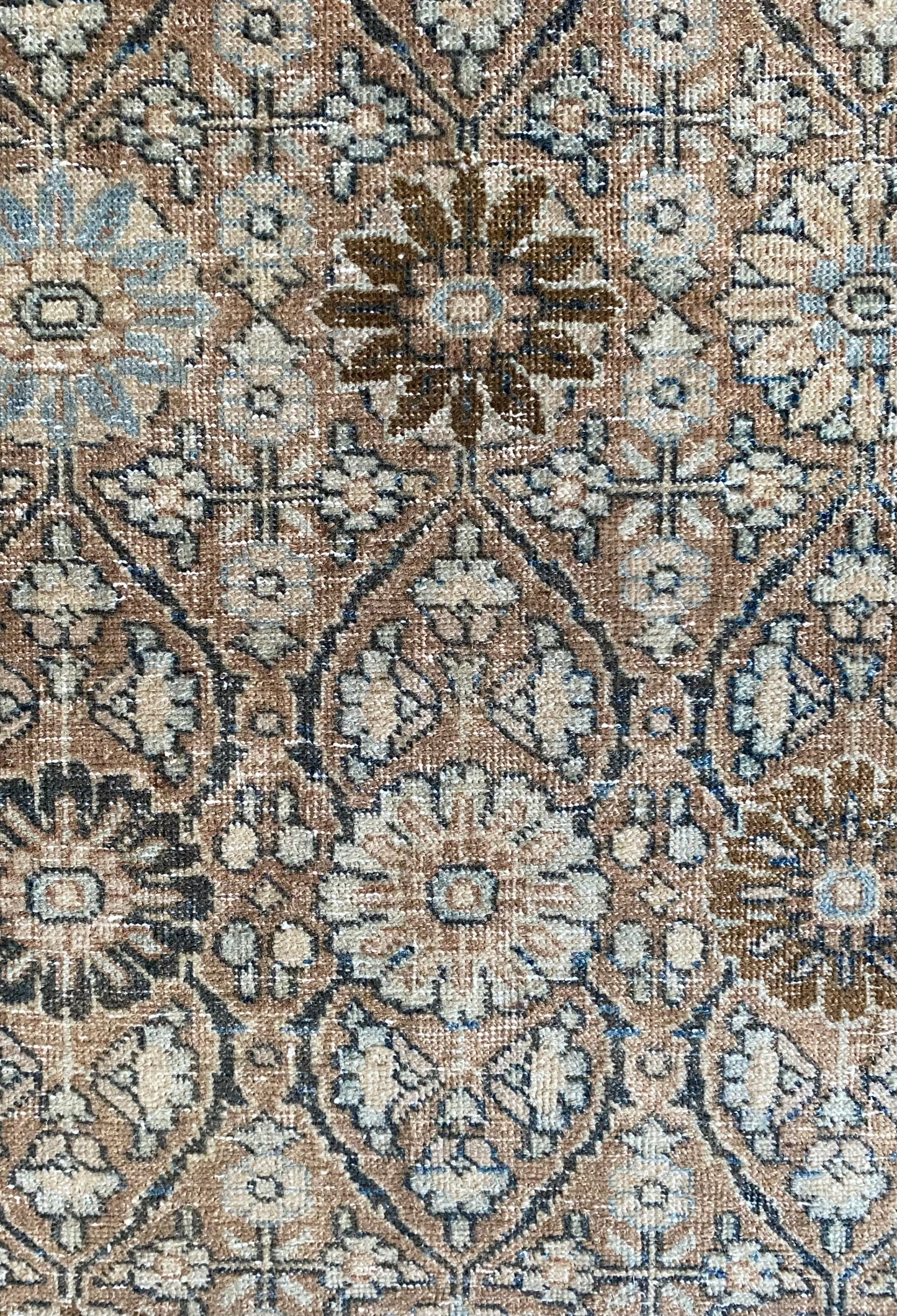 Victoria 7’9.5 x 10’8.5