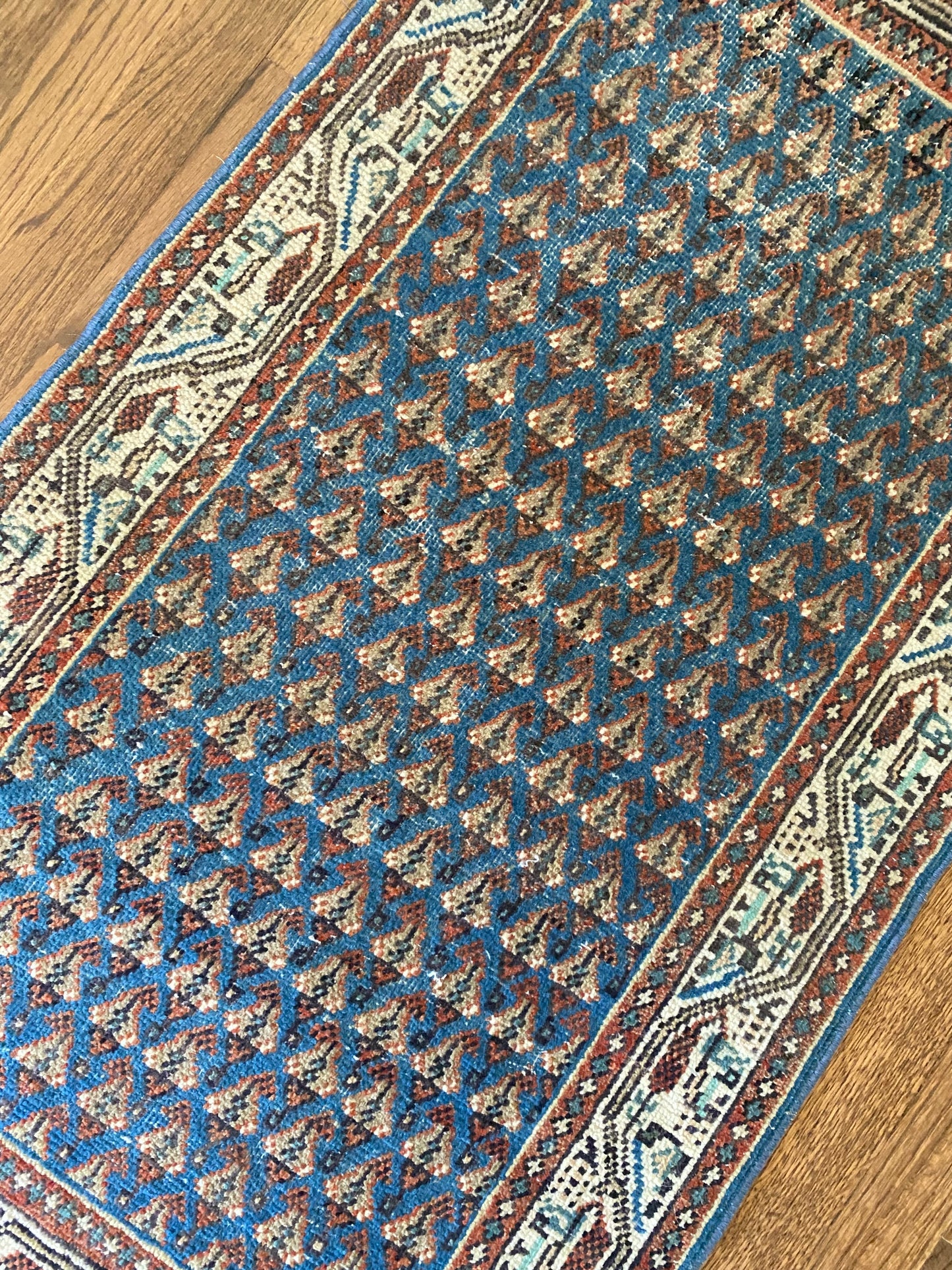 Boteh pattern rug border detail vintage wool
