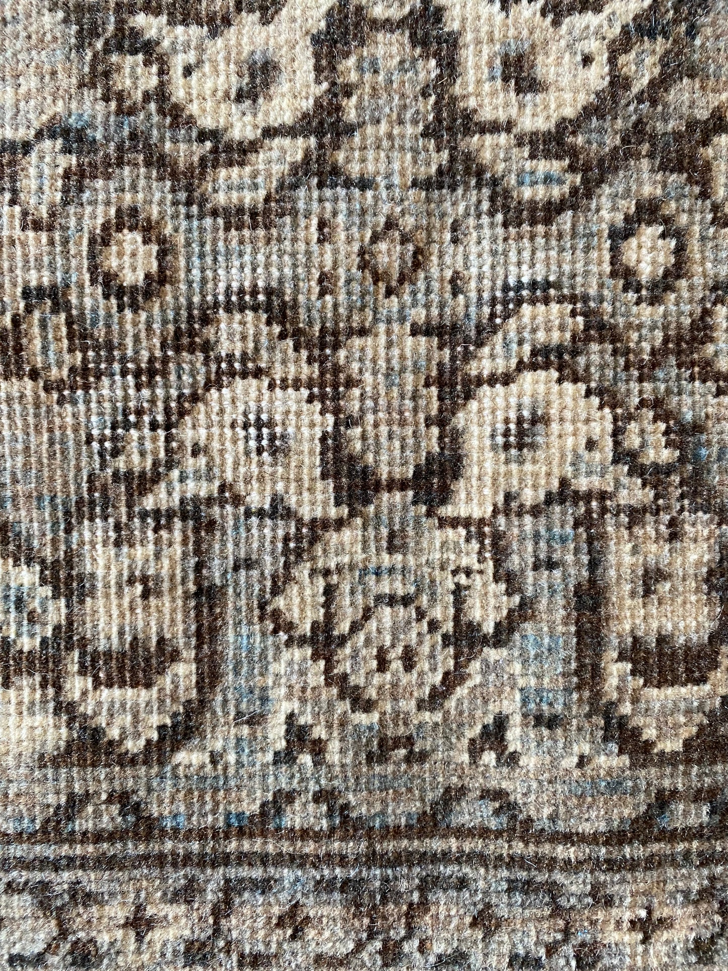 Lucia 4 x 6’1
