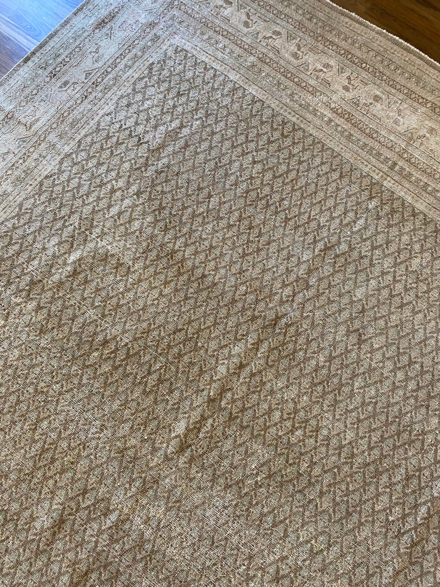 Jade 7’11.5 x 10’6