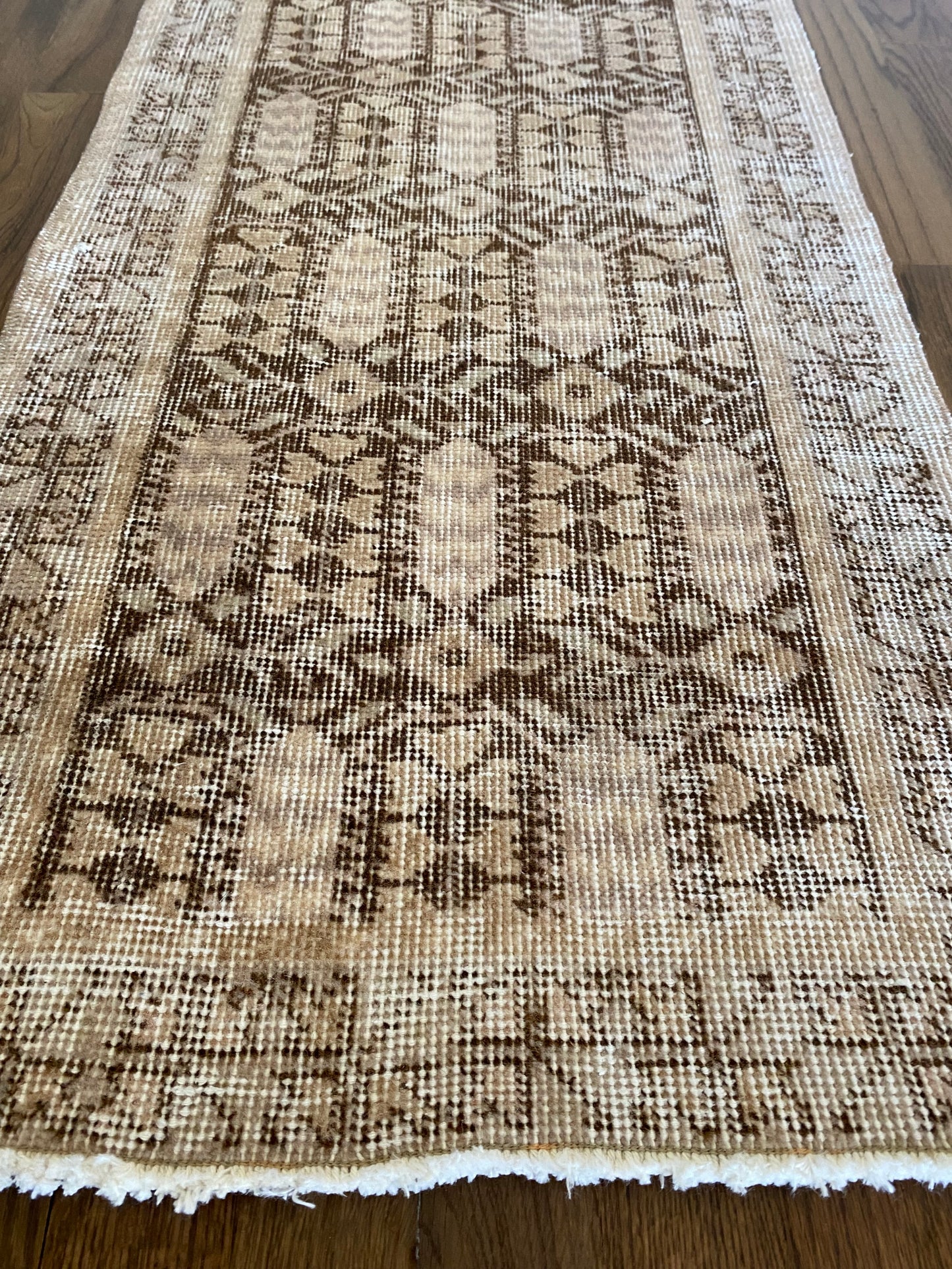 Alessia 1’8 x 4’5.5