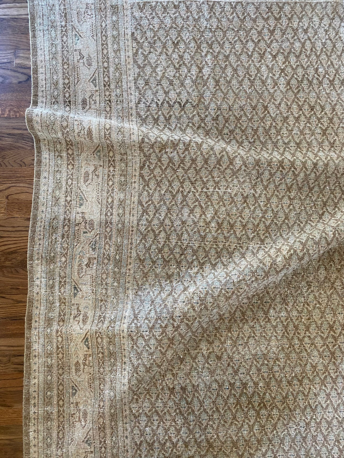 Jade 7’11.5 x 10’6