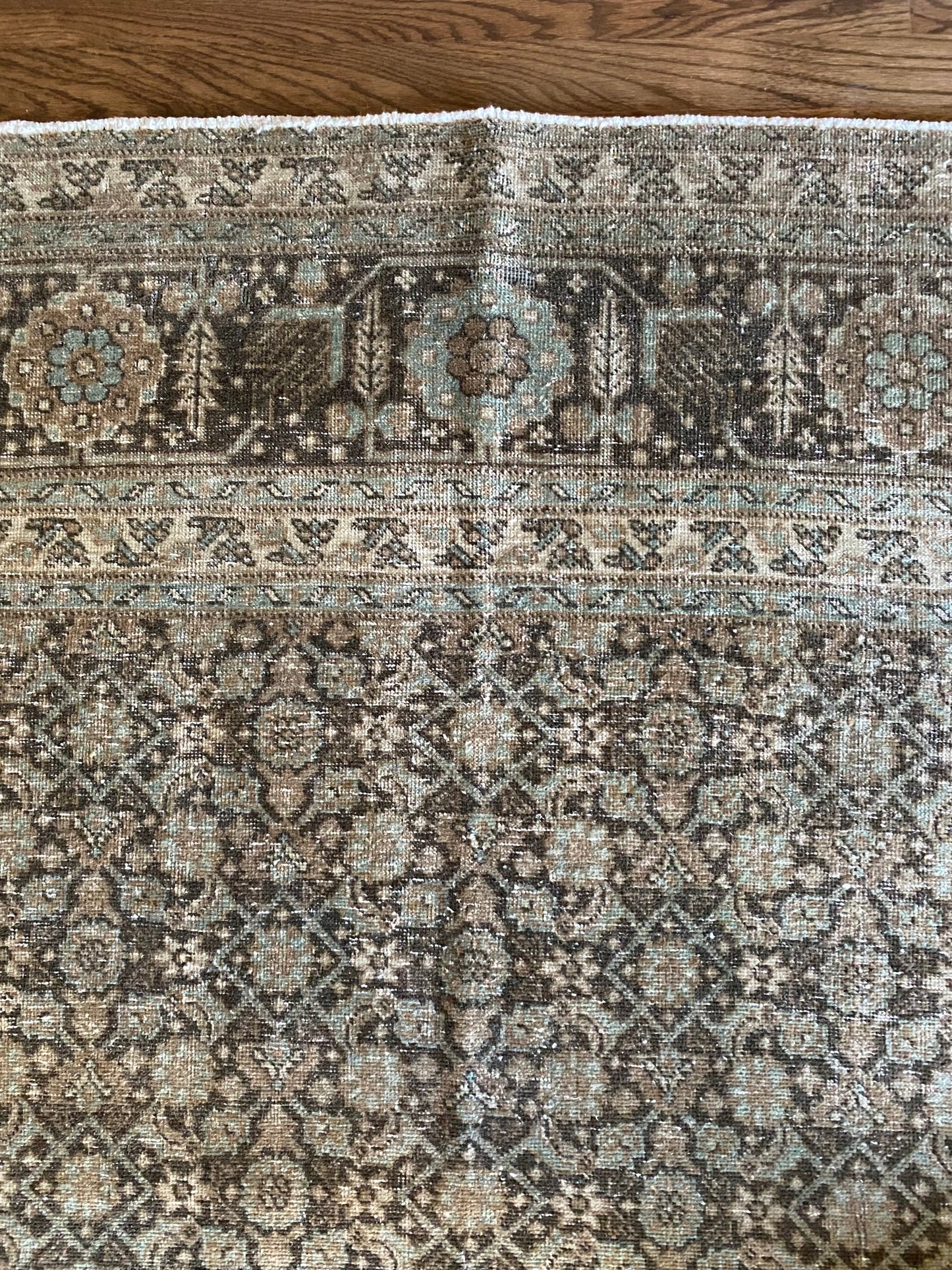 Jacqueline 7’8 x 10’8