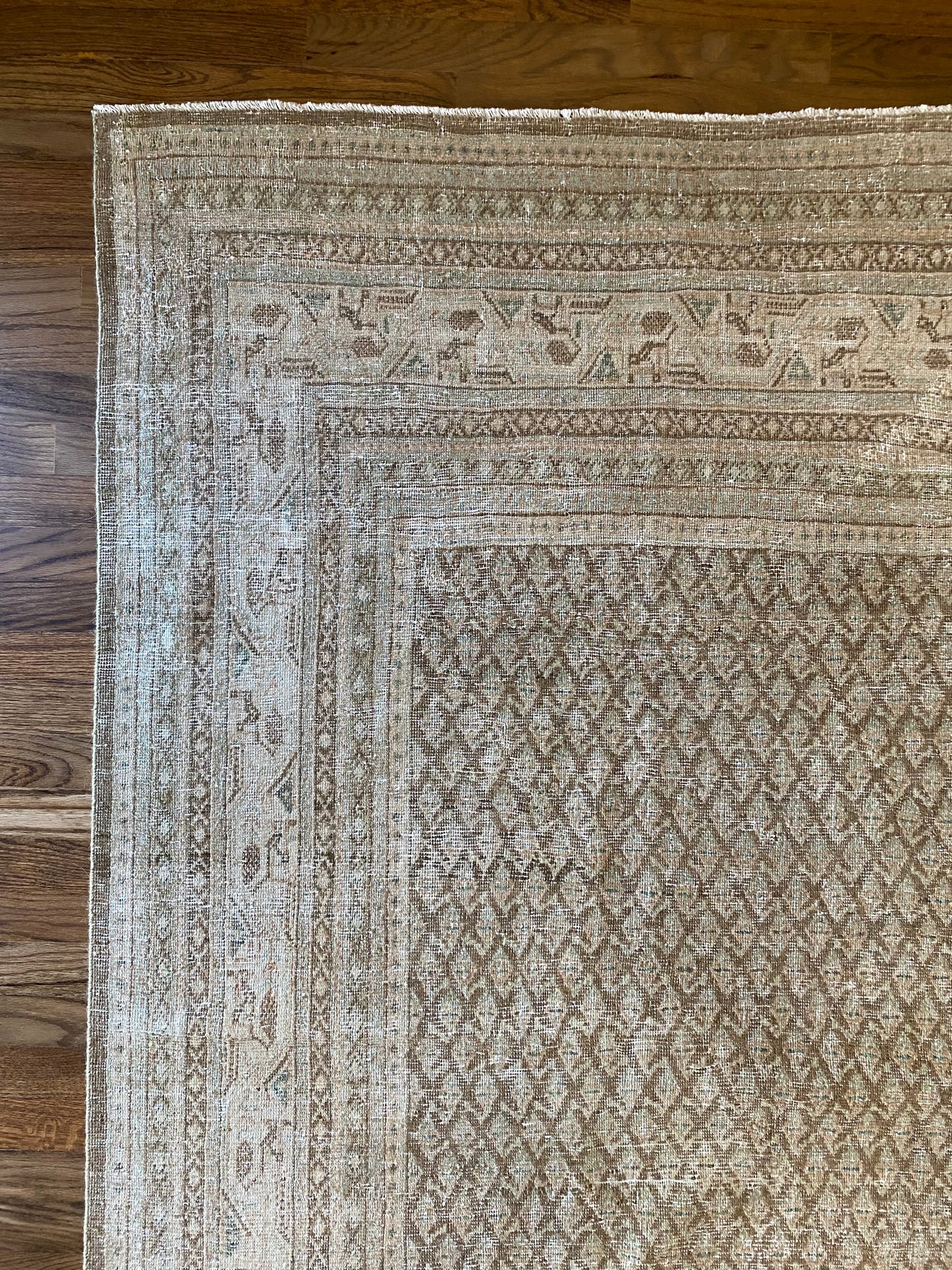 Jade 7’11.5 x 10’6