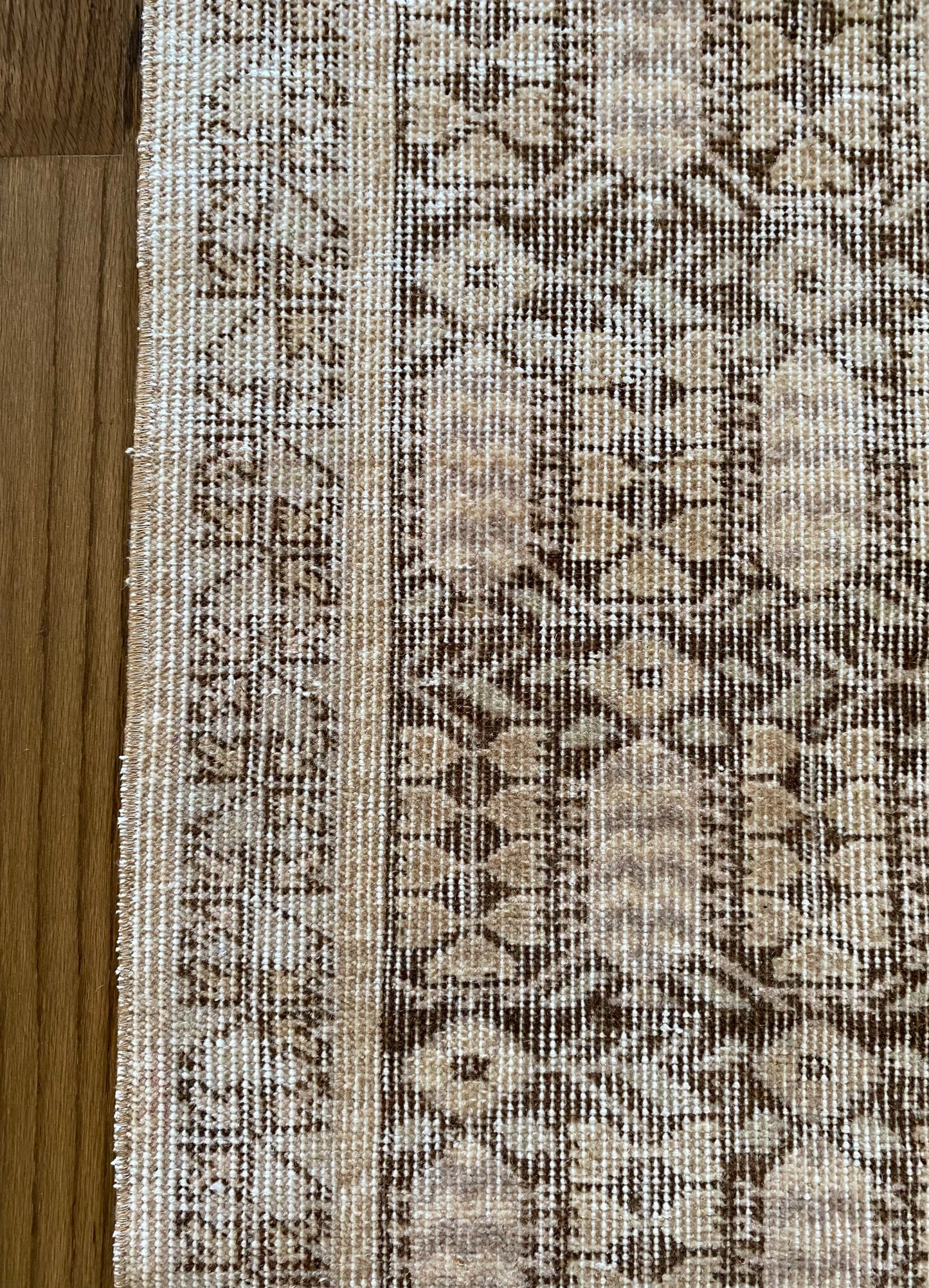 Alessia 1’8 x 4’5.5