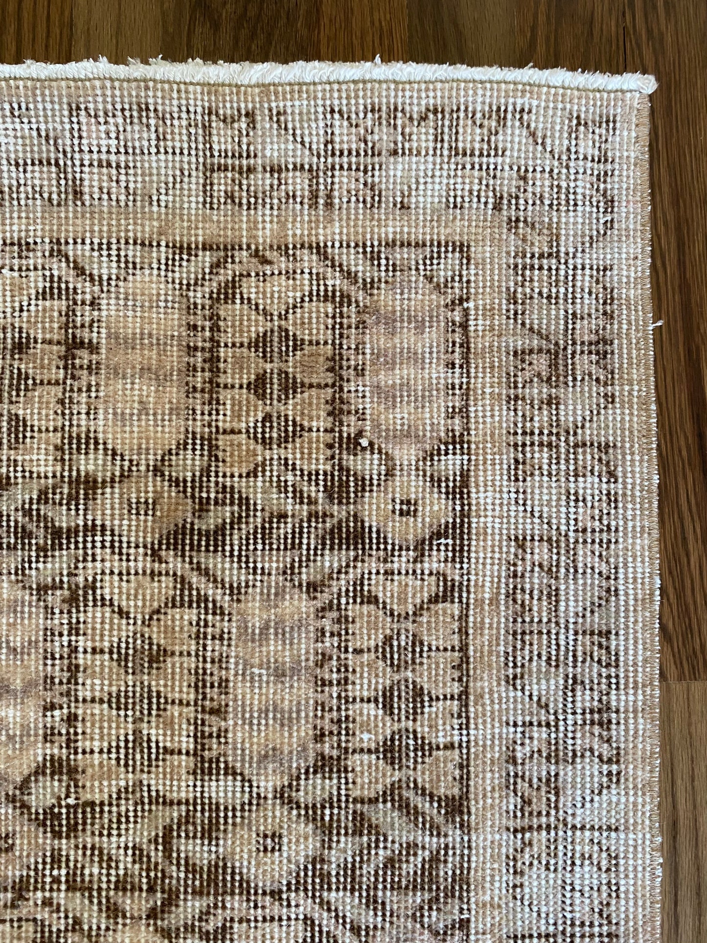 Alessia 1’8 x 4’5.5