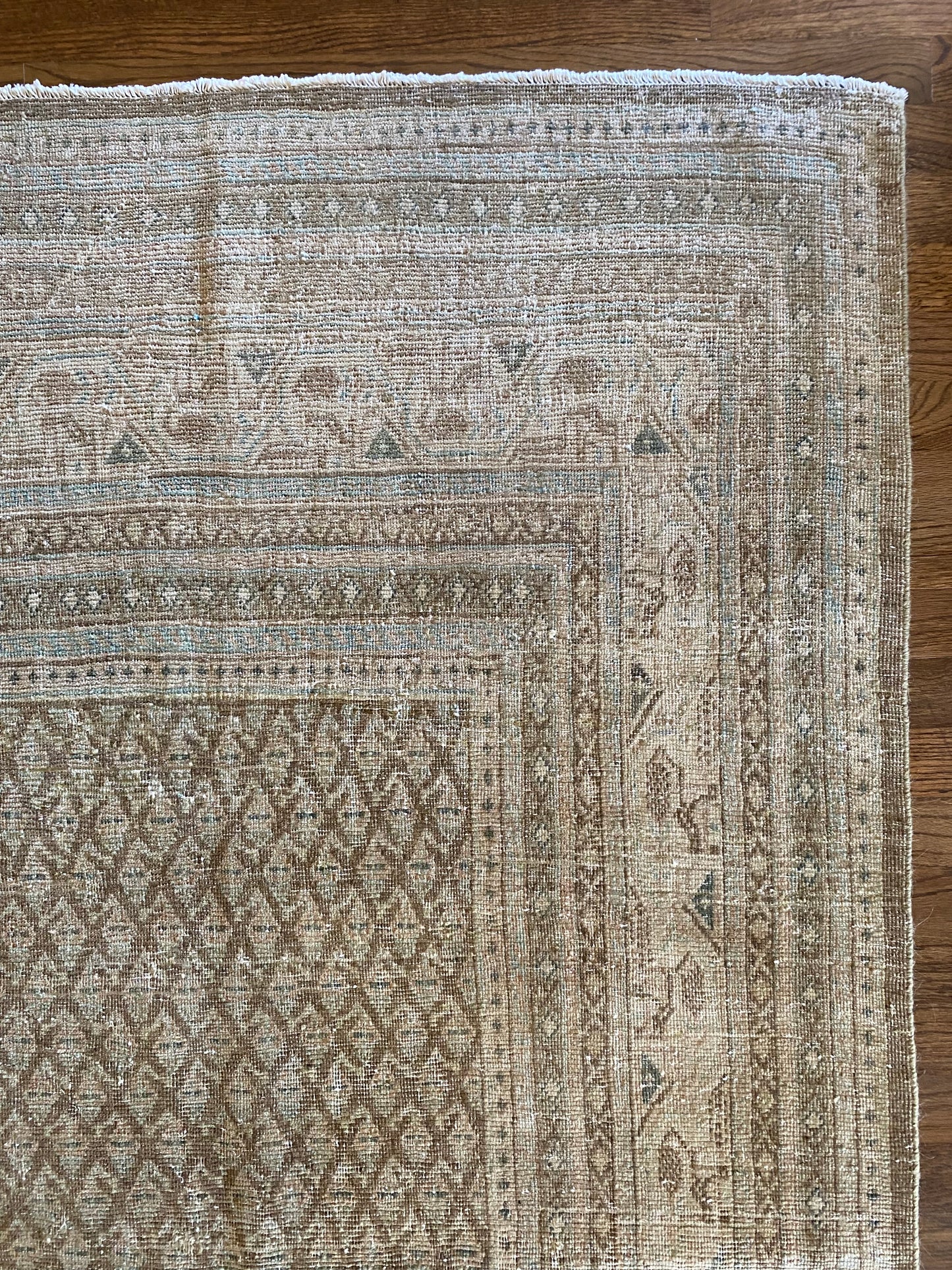 Jade 7’11.5 x 10’6