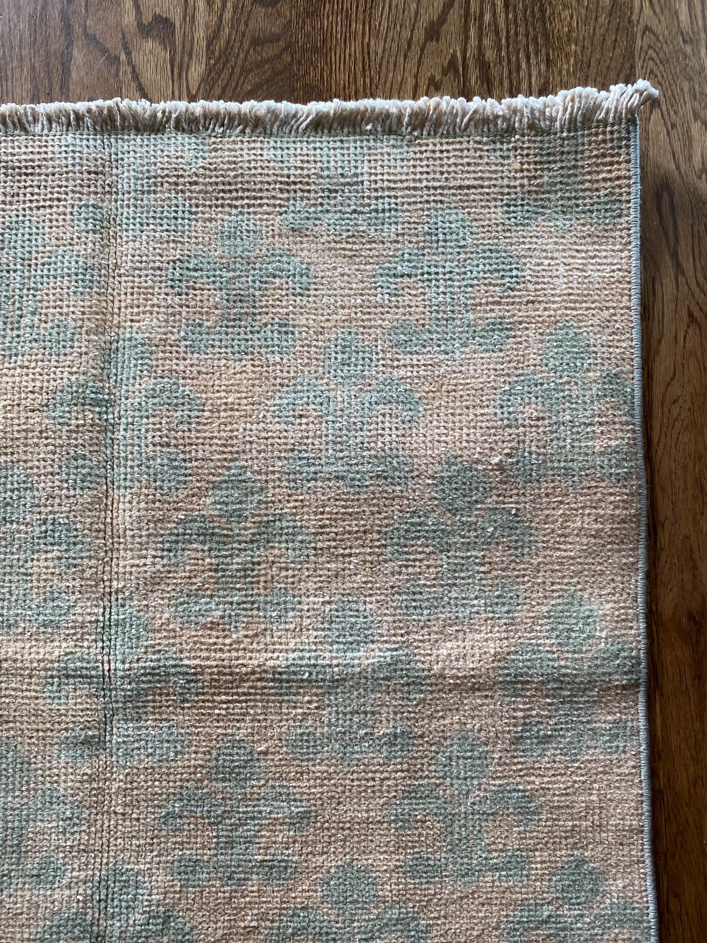 Sofia & Lucia {pair}