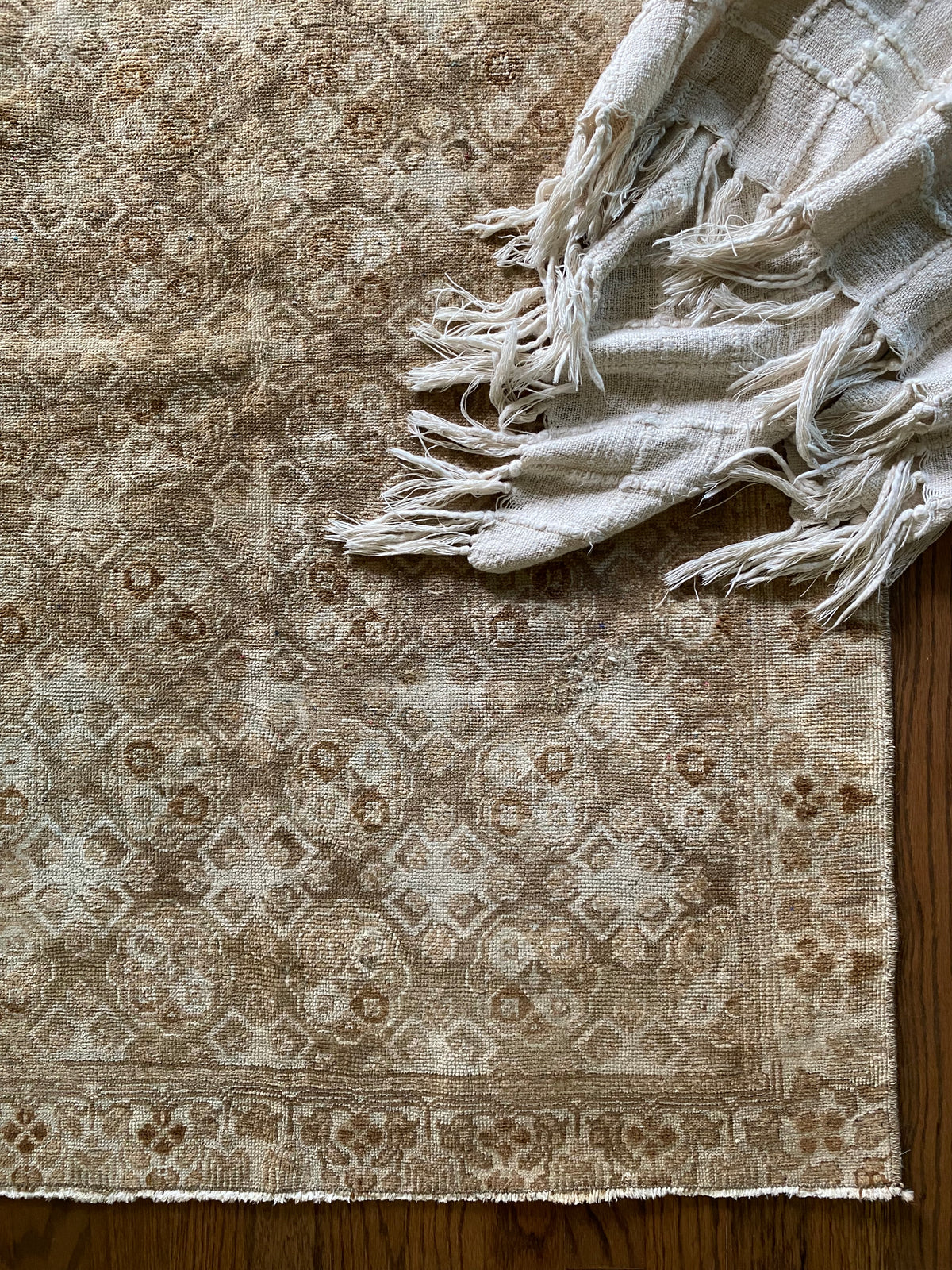 Kennedy Rugs Kennedy 4 x 2’11 – Two Sisters Rugs