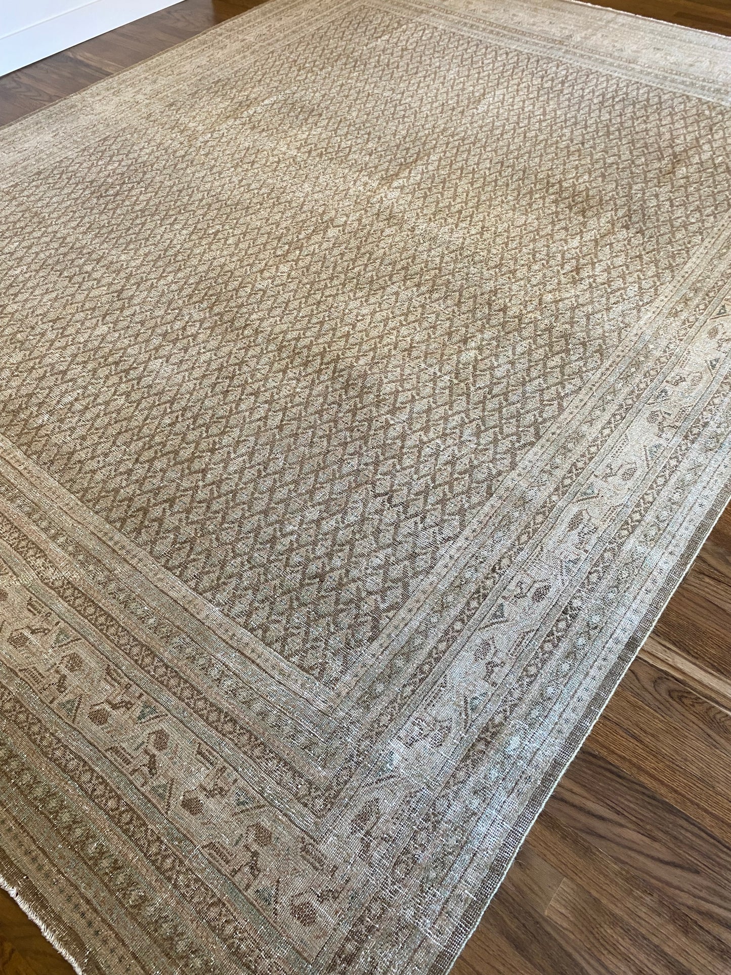 Jade 7’11.5 x 10’6